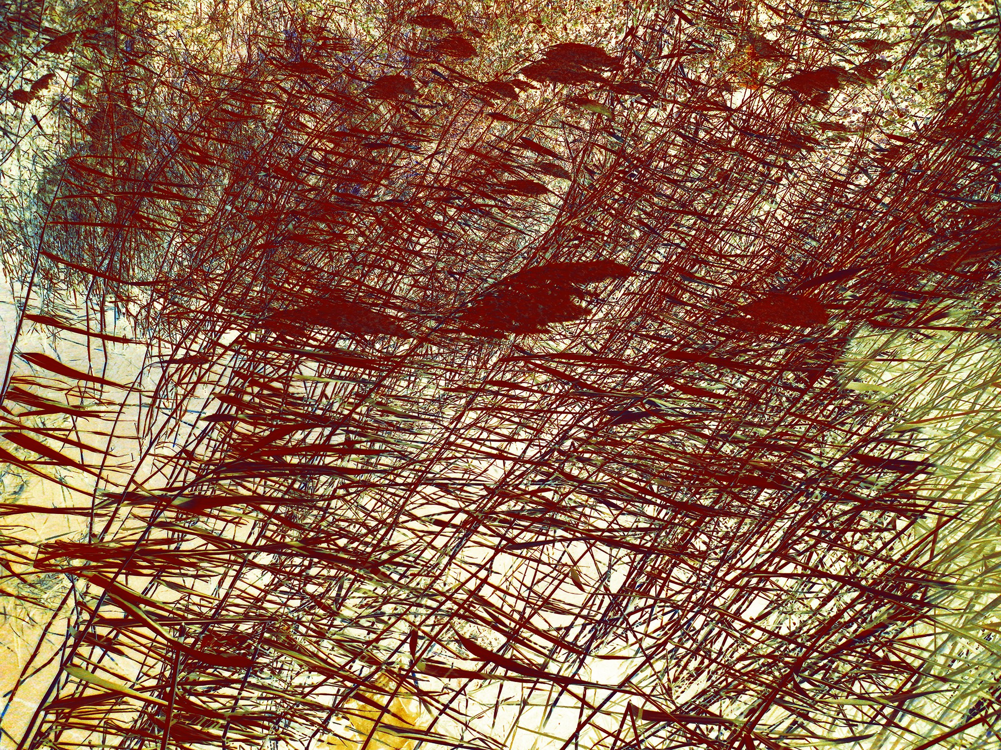 Petr Strnad, Natural Rhythm 1. Petr Strnad, Natural Rhythm 1.