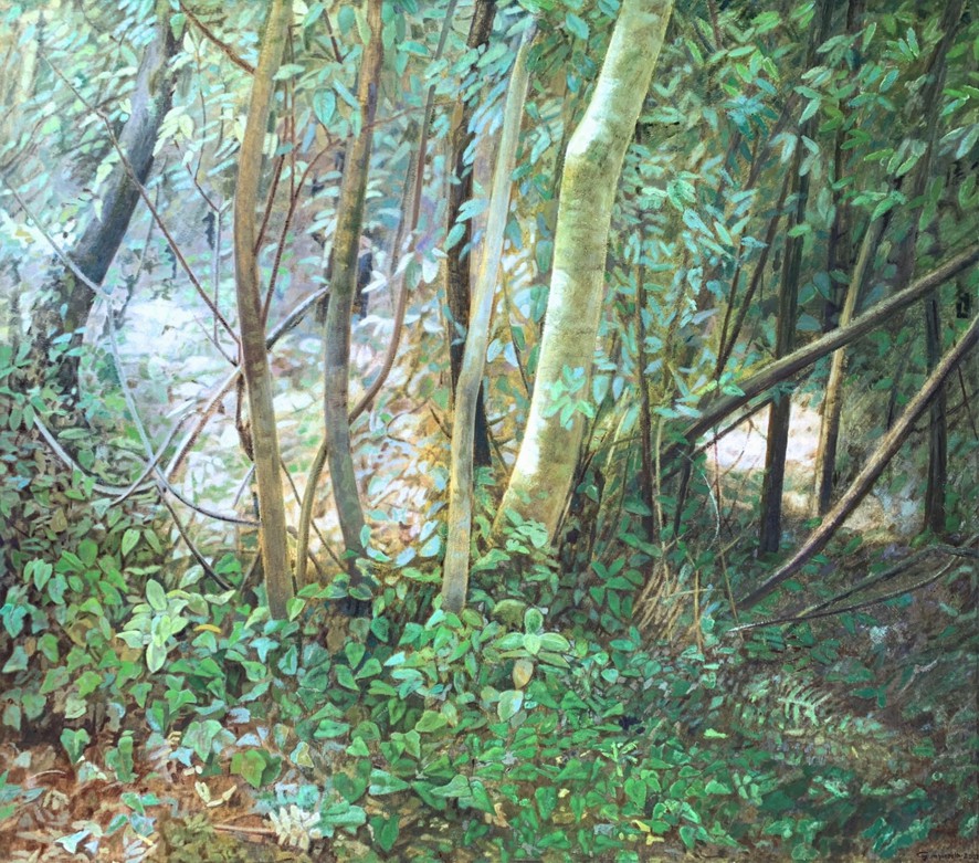 Luigi Giampieretti, Autunno alle pendici del Conero - Sottobosco a Portonovo Luigi Giampieretti, Autunno alle pendici del Conero - Sottobosco a Portonovo