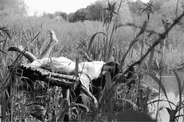 Photographie, Pannochka from Chernobaevka, Elena Bandurka