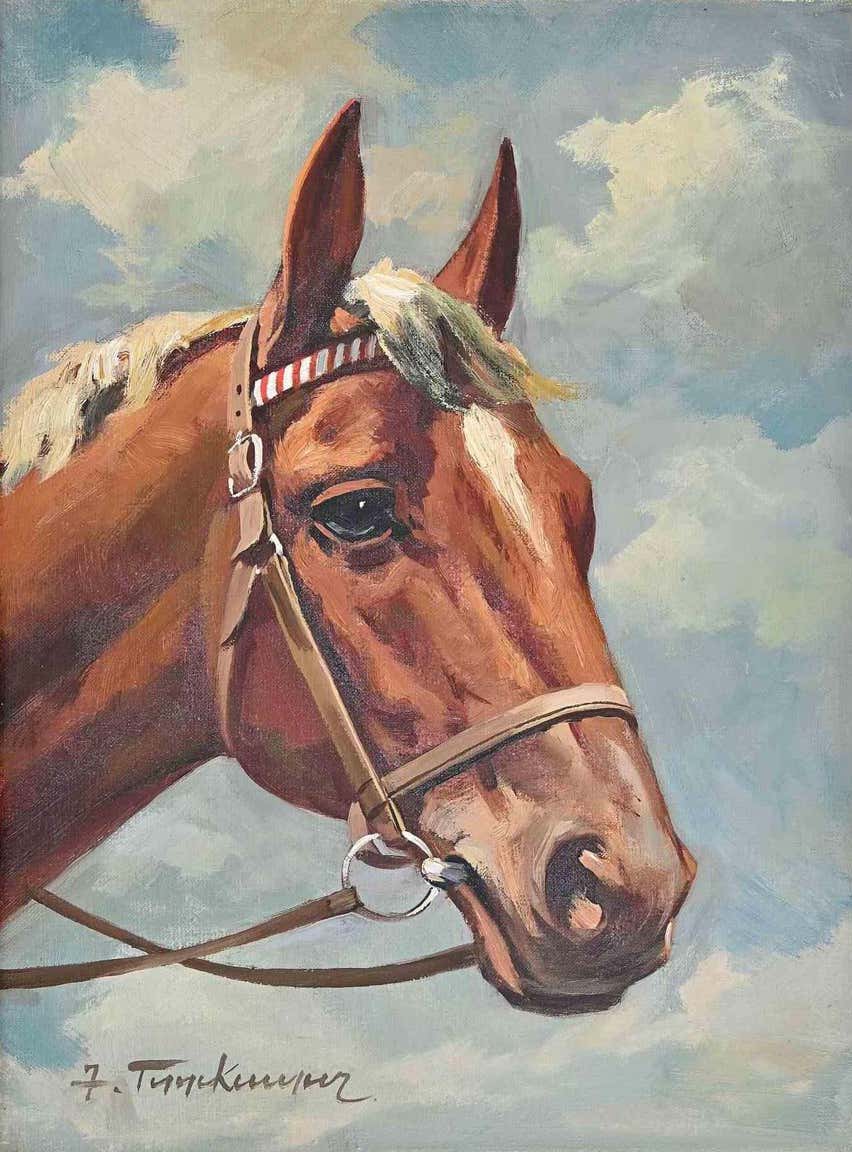 Josef Tippkemper, Haflinger Chestnut Lookin Josef Tippkemper, Haflinger Chestnut Lookin