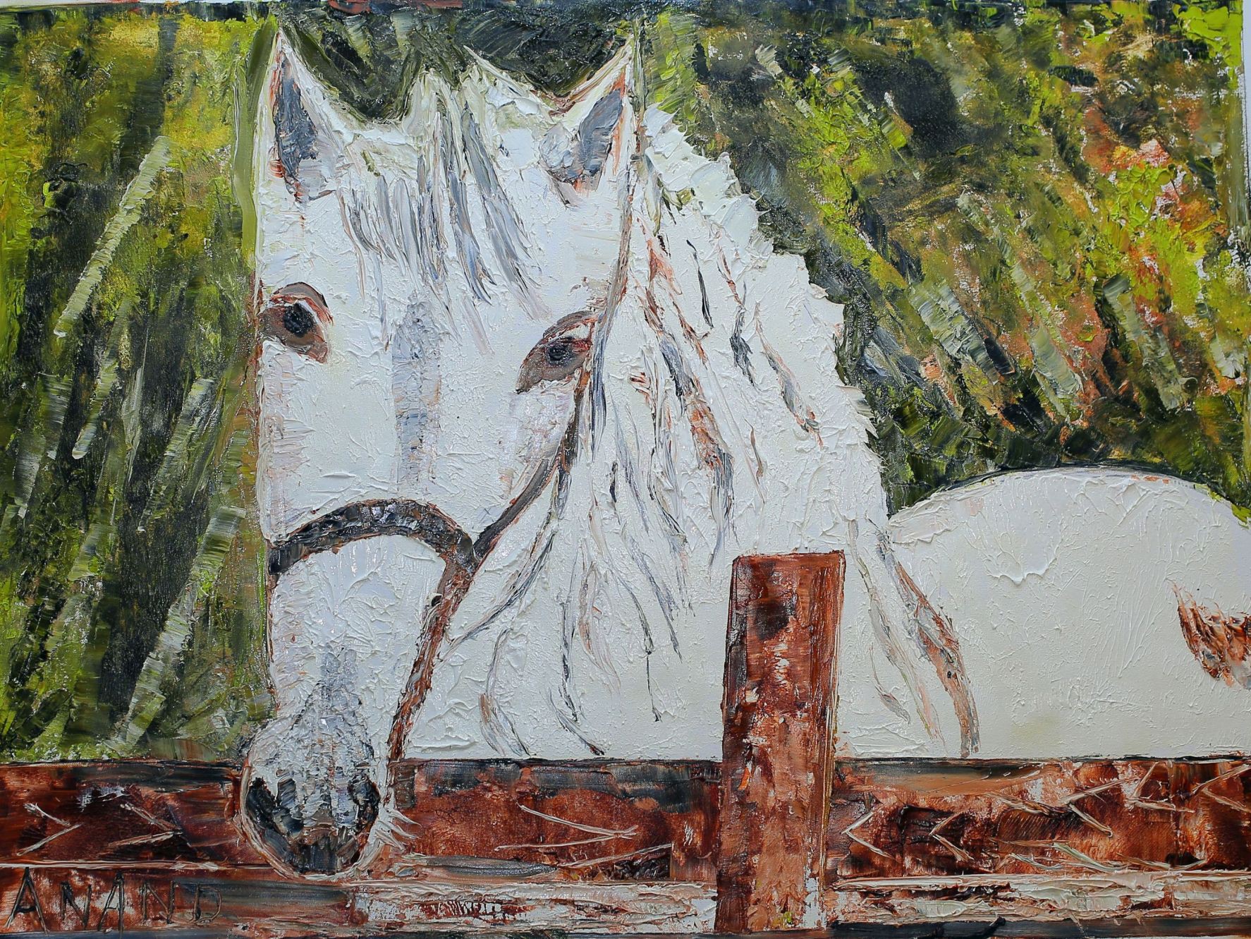 Anand Manchiraju, Divine horse Anand Manchiraju, Divine horse