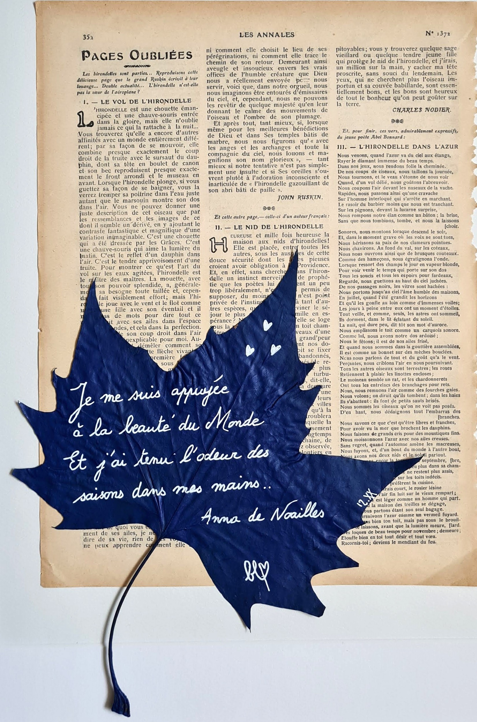 Blu_451, La beauté du monde Blu_451, La beauté du monde