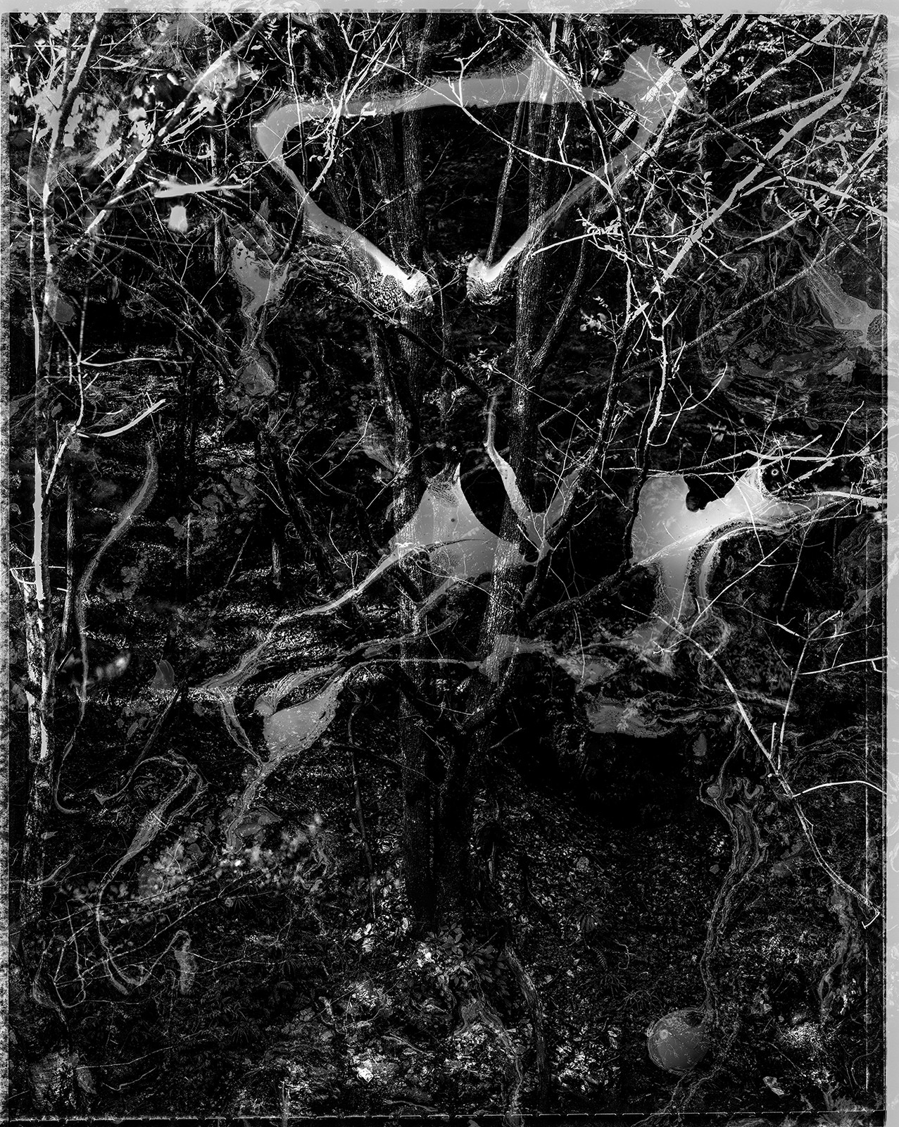 Yasuo Kiyonaga, Spirit of Forest 2005 Yasuo Kiyonaga, Spirit of Forest 2005