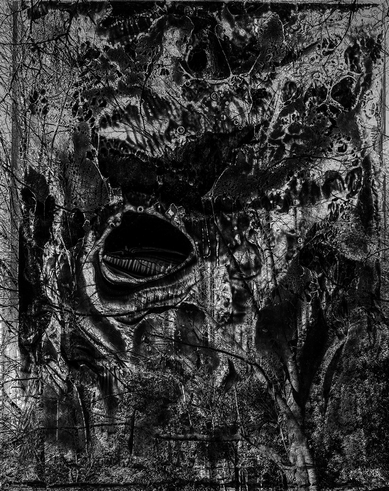 Yasuo Kiyonaga, Spirit of Forest 2020 Yasuo Kiyonaga, Spirit of Forest 2020