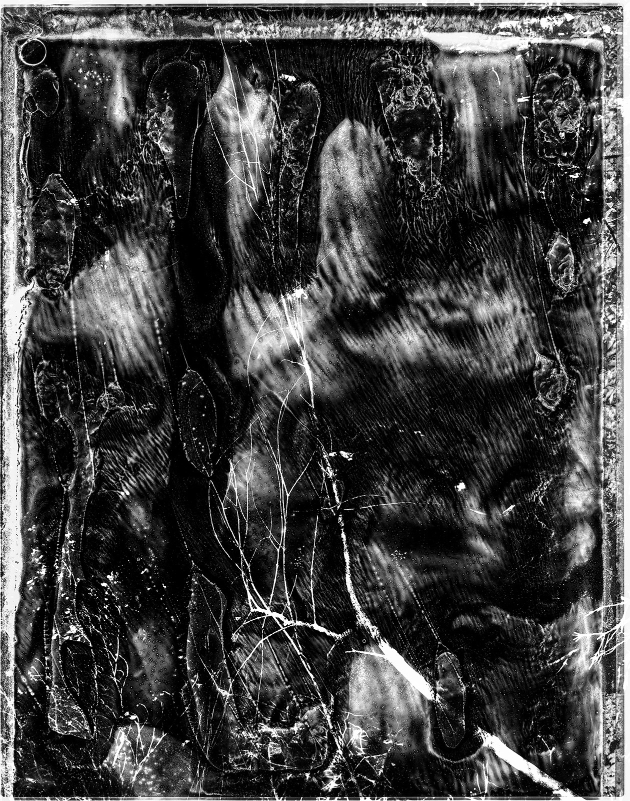 Yasuo Kiyonaga, Spirit of Forest 203900 Yasuo Kiyonaga, Spirit of Forest 203900