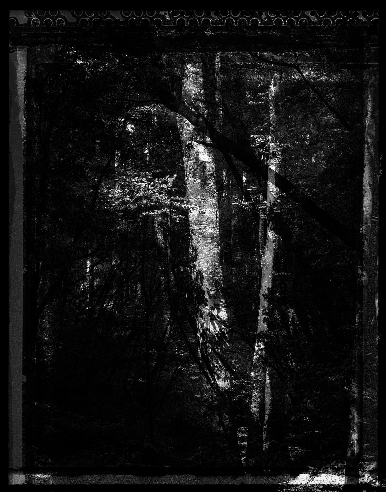 Yasuo Kiyonaga, Spirit of Forest 324654 Yasuo Kiyonaga, Spirit of Forest 324654