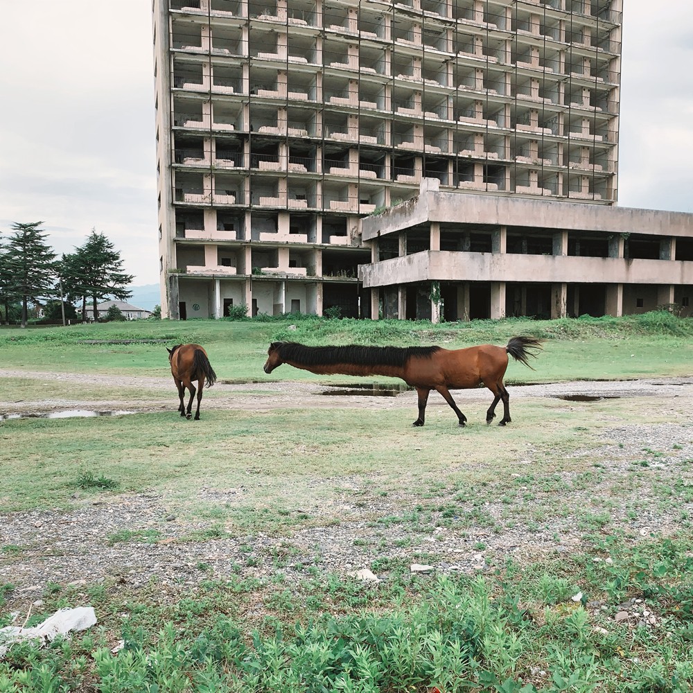 Alan Vouba, #rrrabbithole Abkhazia Alan Vouba, #rrrabbithole Abkhazia