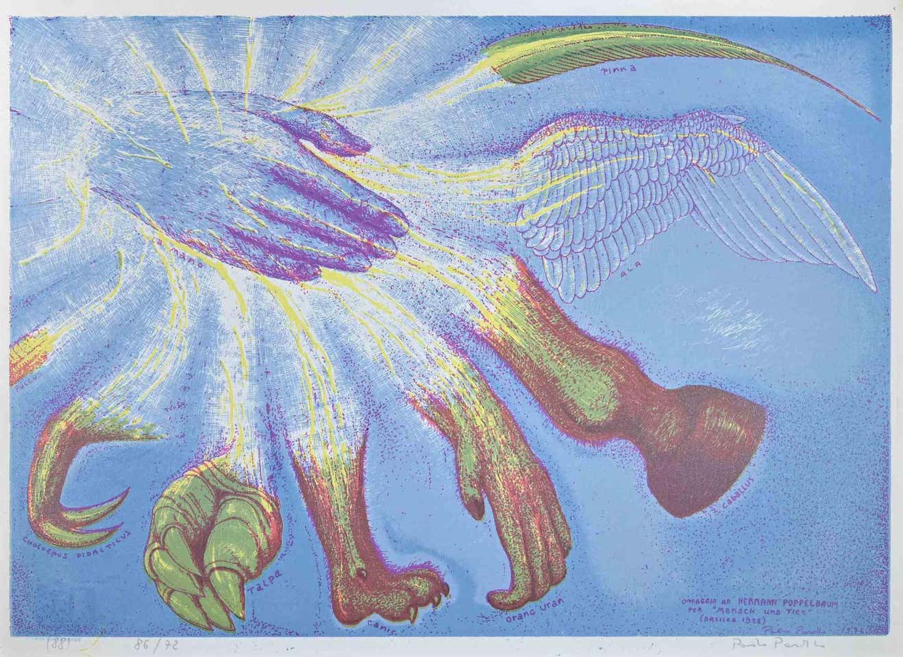 Paolo Pasotto, Hommage to Hermann Poppelbaum Paolo Pasotto, Hommage to Hermann Poppelbaum