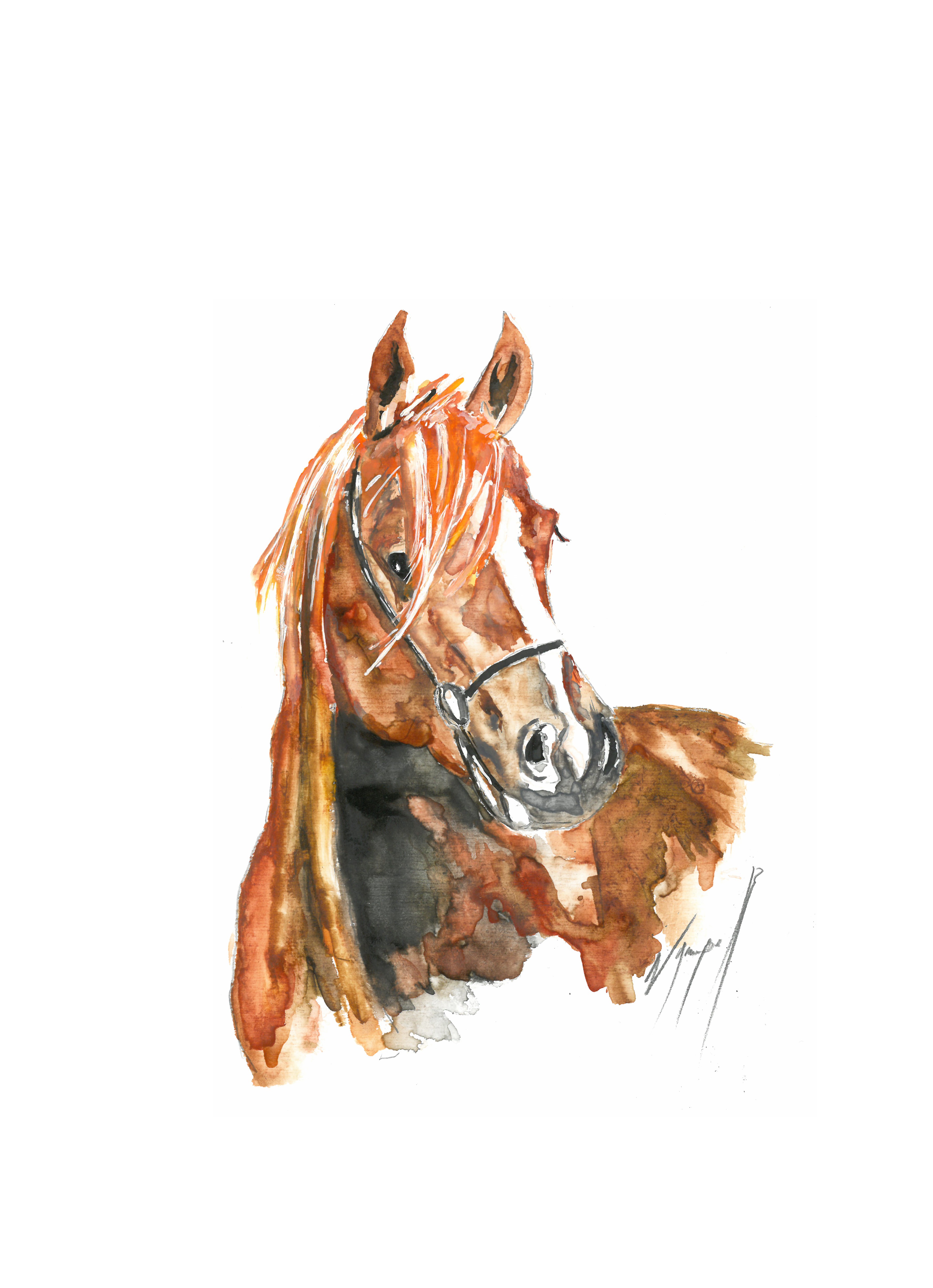 Noël Granger, My Horse Noël Granger, My Horse