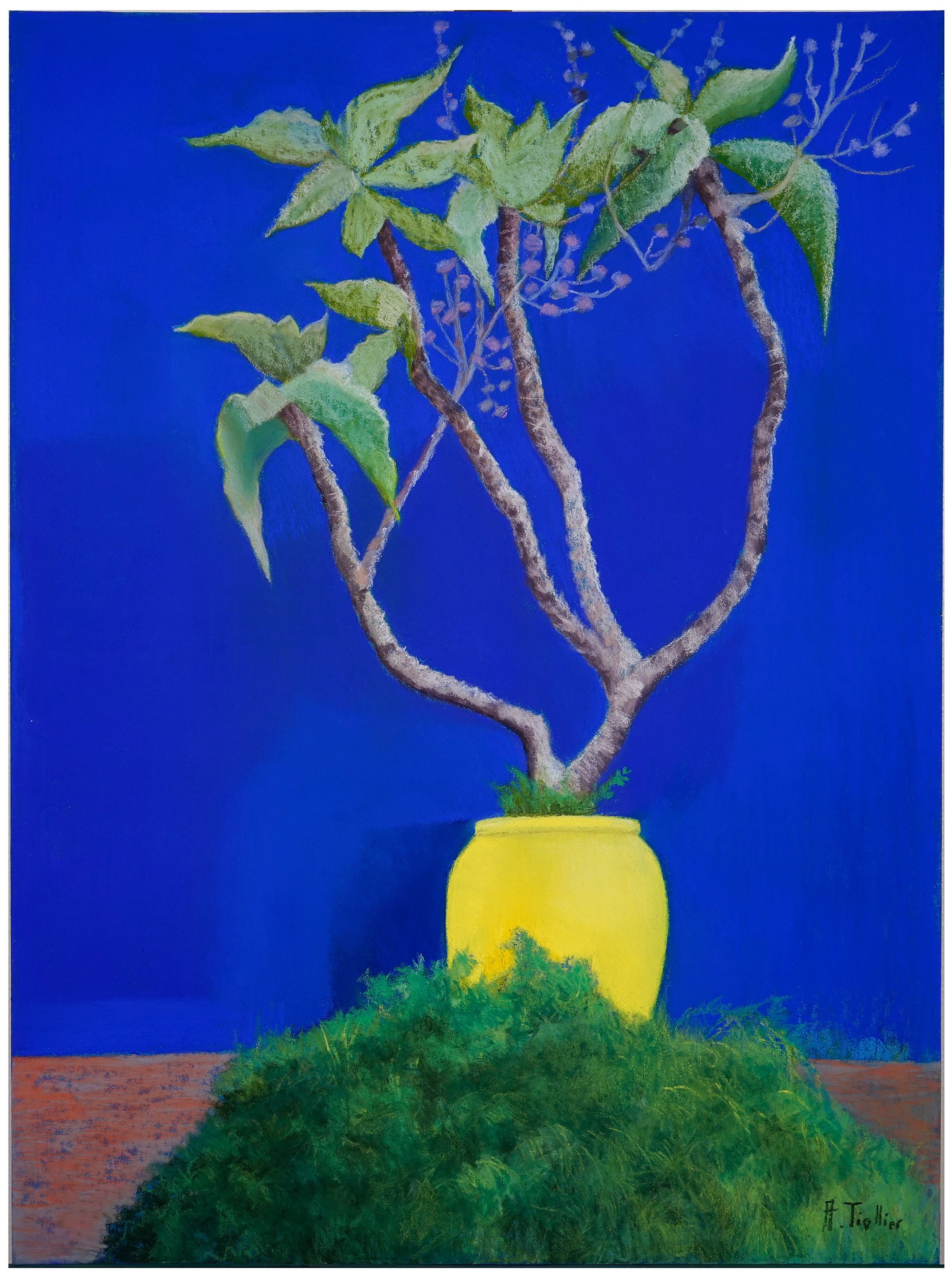 Agnès Tiollier, Couleurs Majorelle Agnès Tiollier, Couleurs Majorelle