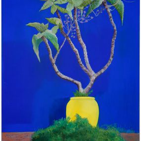 Couleurs Majorelle