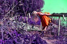 Photographie, Alisa in Ukraine, Elena Bandurka