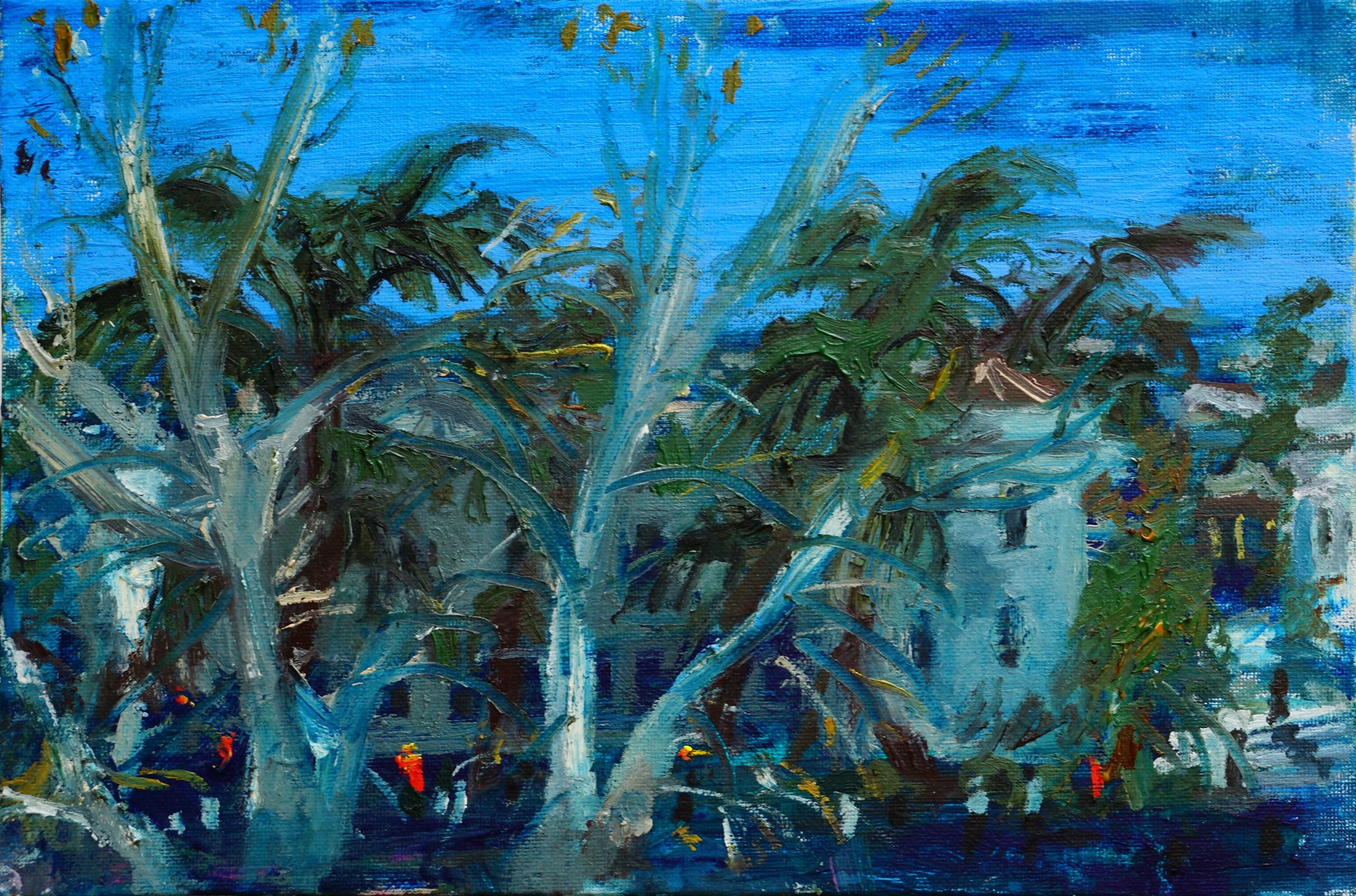 Giorgi Kukhalashvili, Evening Giorgi Kukhalashvili, Evening