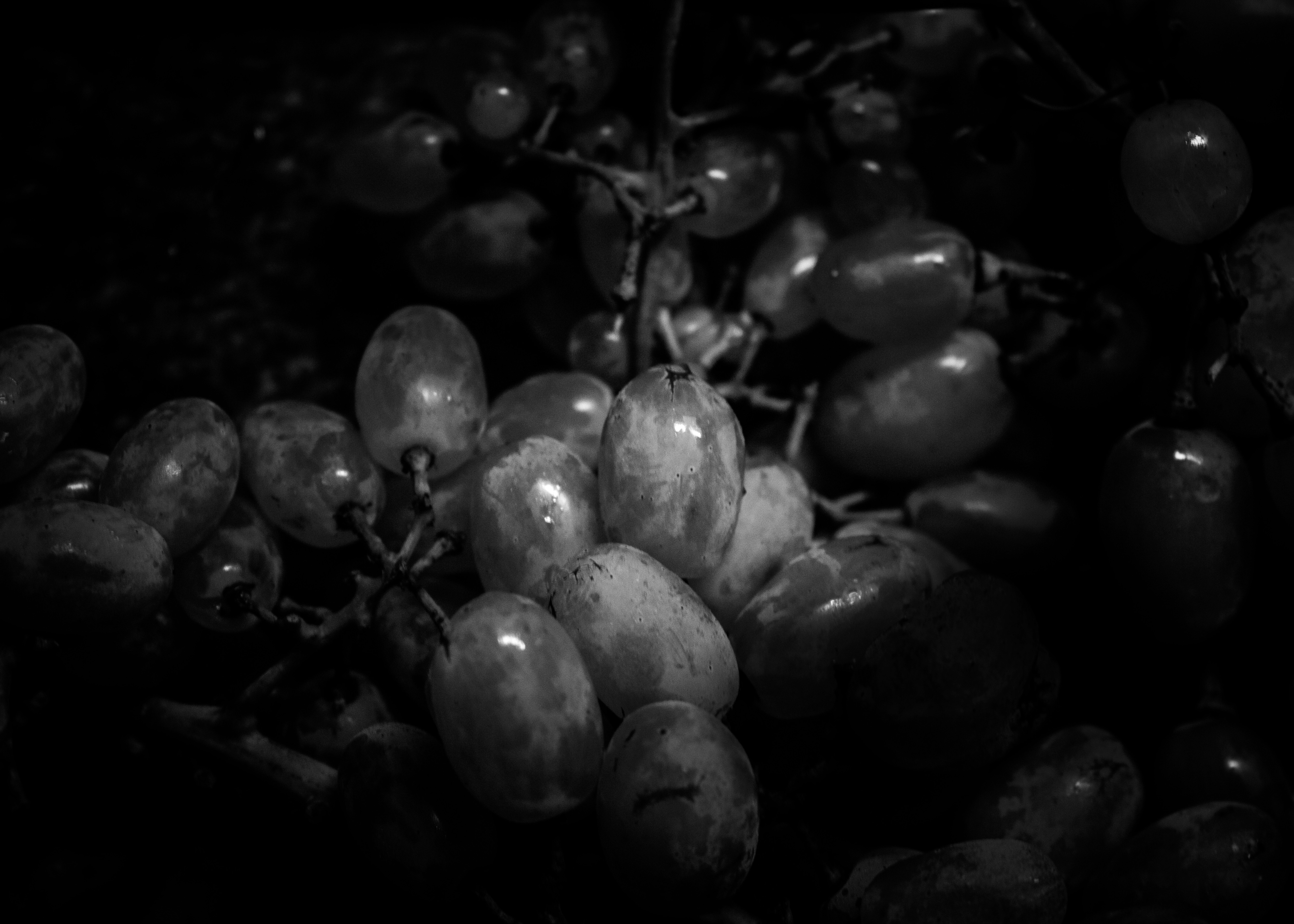 Ellie Sass (Sassayiannis), Grapes Ellie Sass (Sassayiannis), Grapes