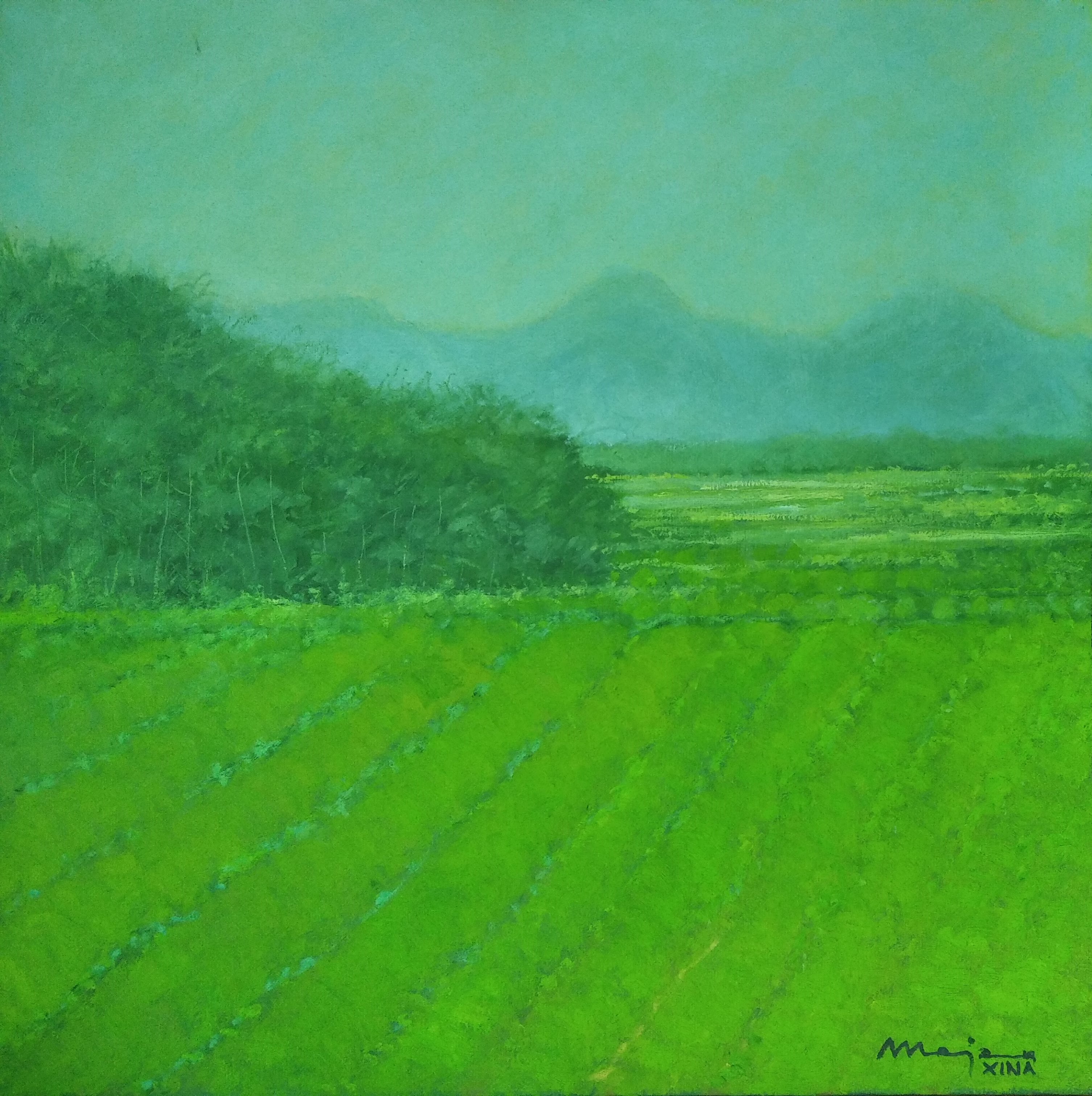 Josep Maria Mejan, Tea Field Josep Maria Mejan, Tea Field