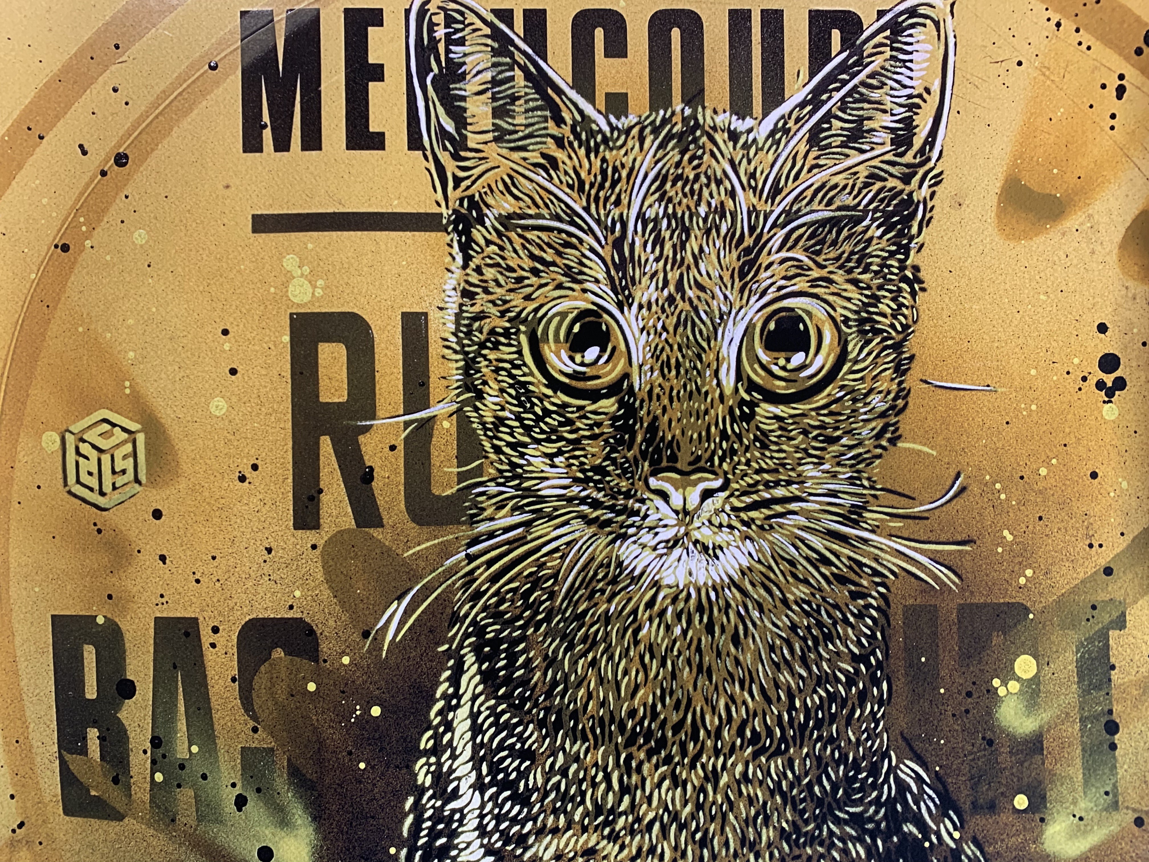 C215, Colonel Moutarde C215, Colonel Moutarde