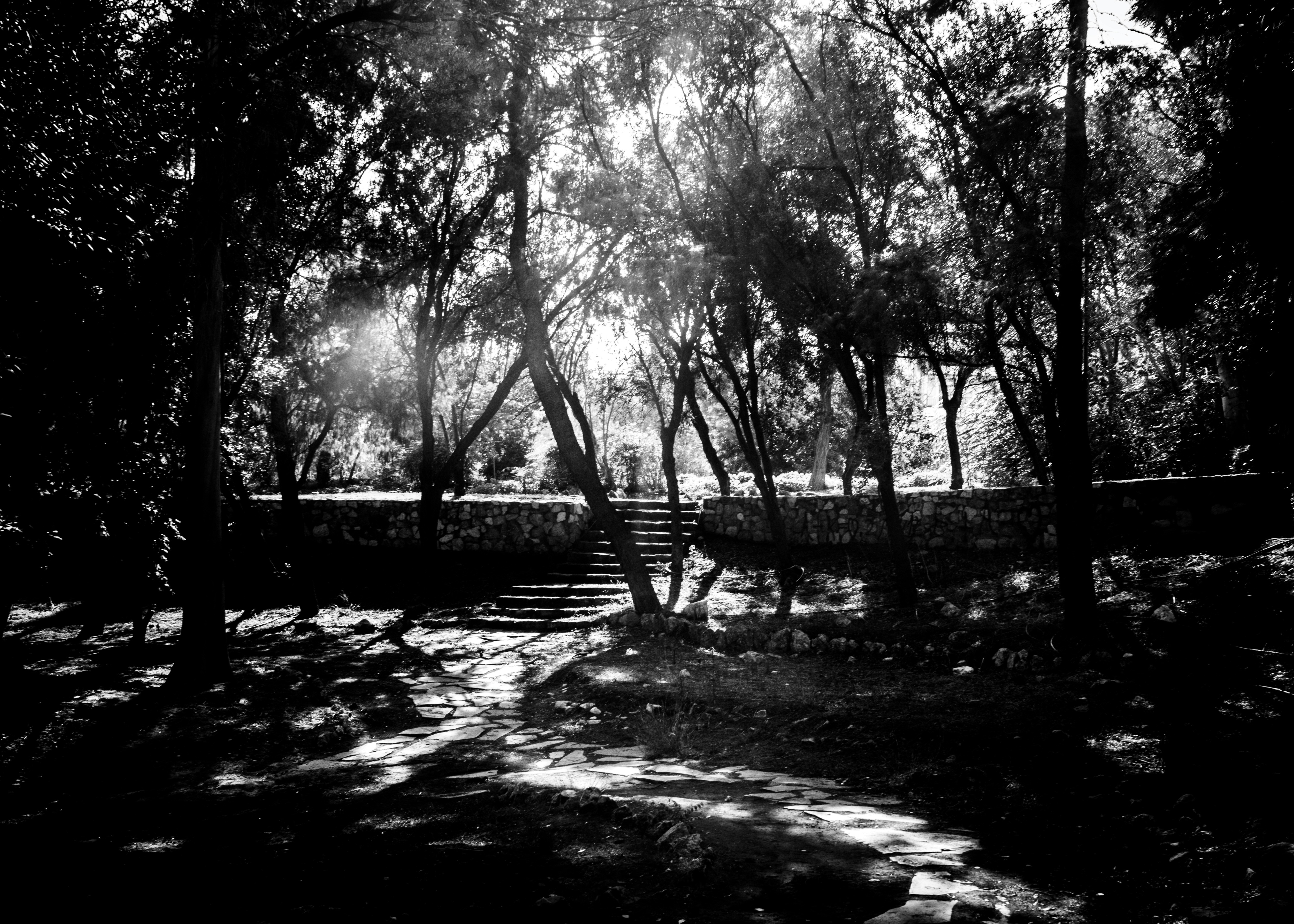 Ellie Sass (Sassayiannis), Path To Paradise Ellie Sass (Sassayiannis), Path To Paradise