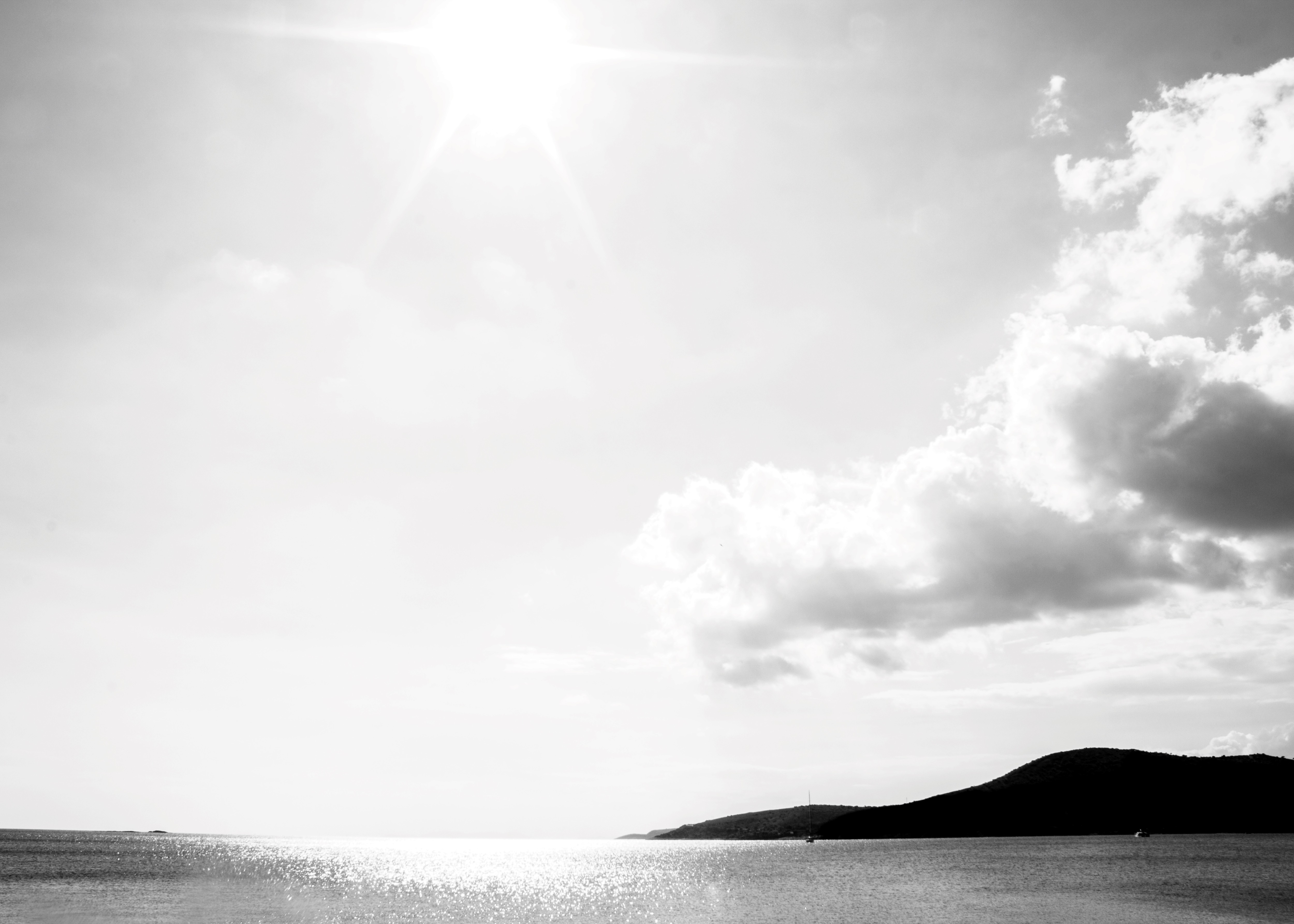 Ellie Sass (Sassayiannis), Horizon Ellie Sass (Sassayiannis), Horizon