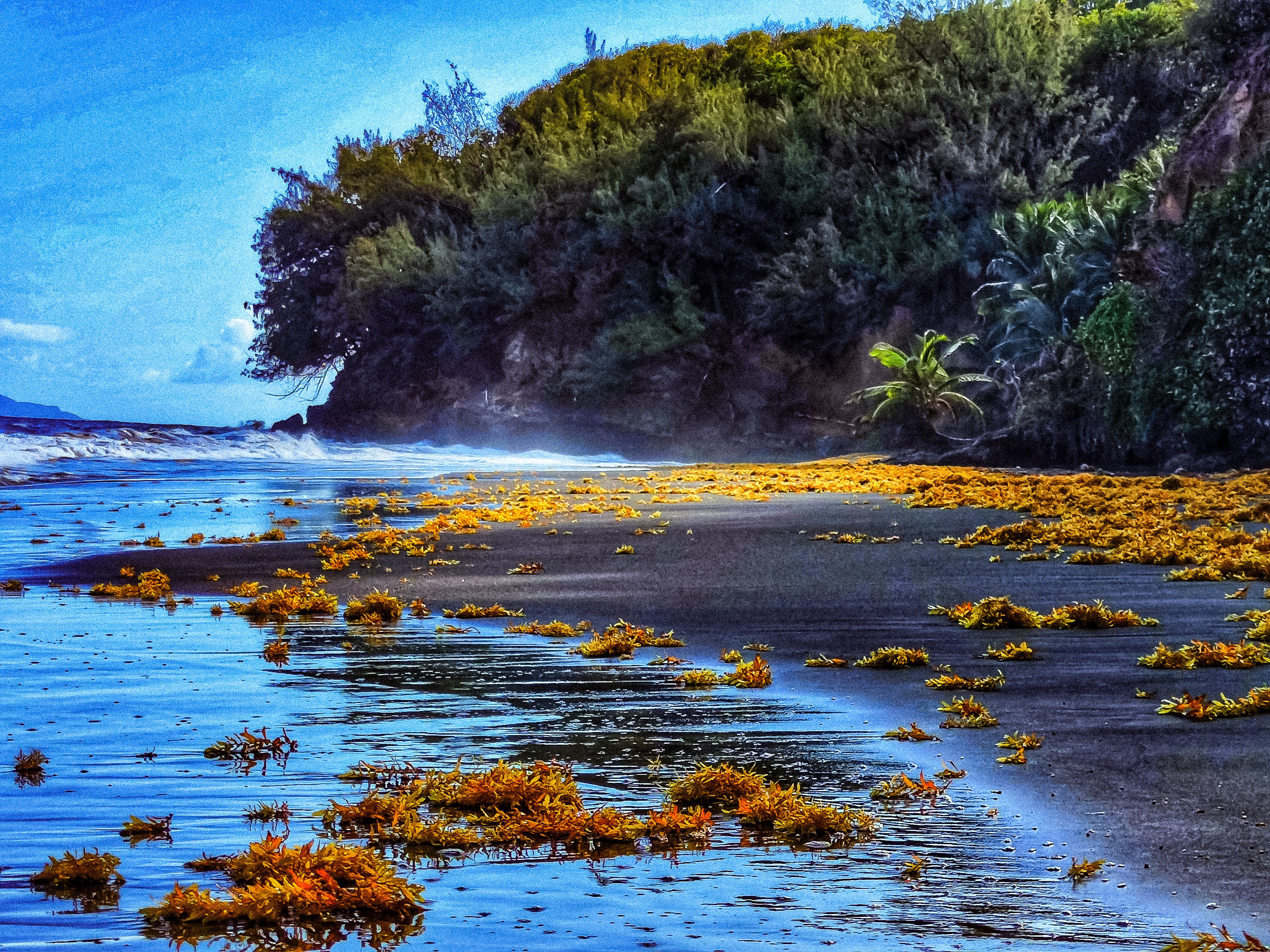 Dominique Leroy, Anse des châteaux. Guadeloupe Dominique Leroy, Anse des châteaux. Guadeloupe