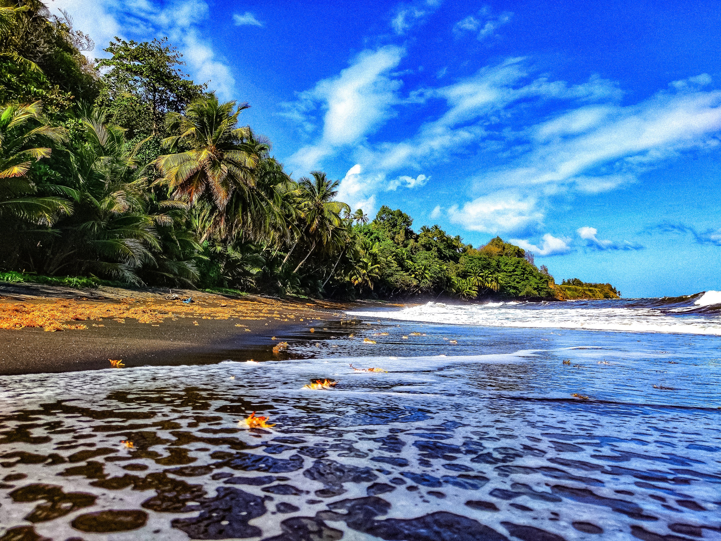Dominique Leroy, Sainte-Rose 2. Guadeloupe Dominique Leroy, Sainte-Rose 2. Guadeloupe