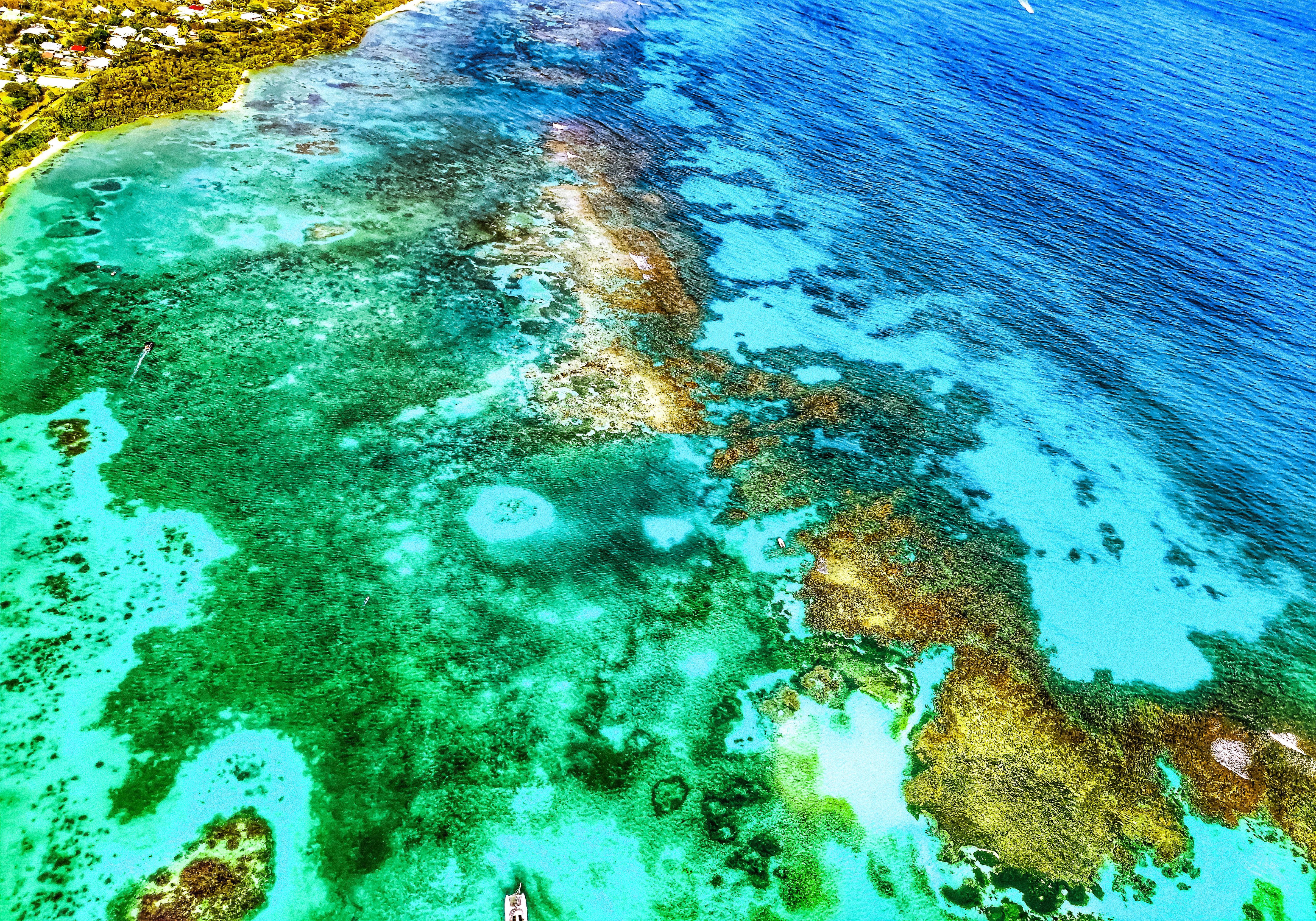 Dominique Leroy, Anse des châteaux vu du ciel 4. Guadeloupe Dominique Leroy, Anse des châteaux vu du ciel 4. Guadeloupe