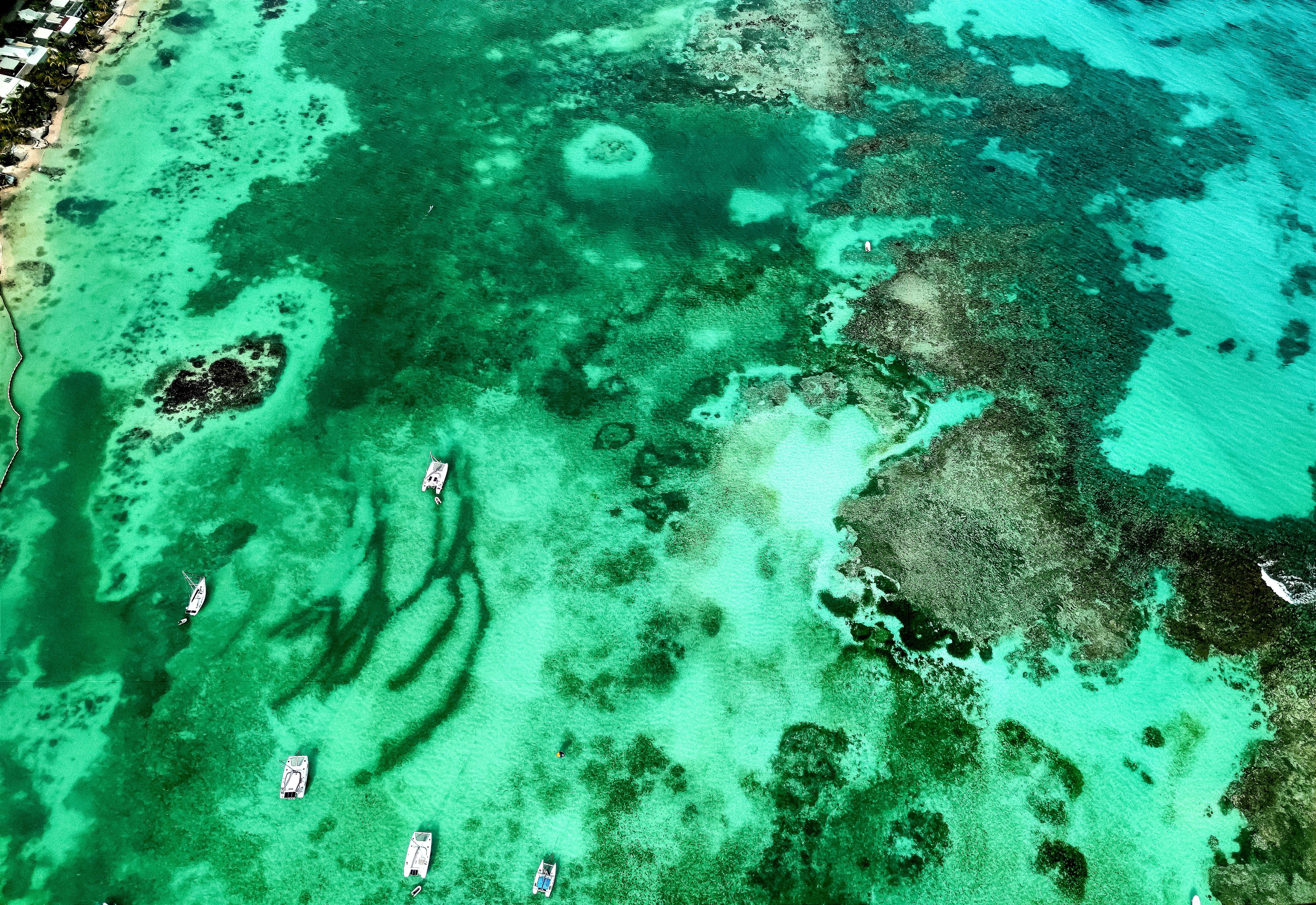 Dominique Leroy, Anse des châteaux vu du ciel 5. Guadeloupe Dominique Leroy, Anse des châteaux vu du ciel 5. Guadeloupe