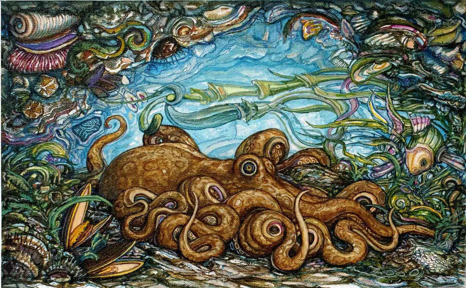 Adriano Pompa, Octopus Adriano Pompa, Octopus