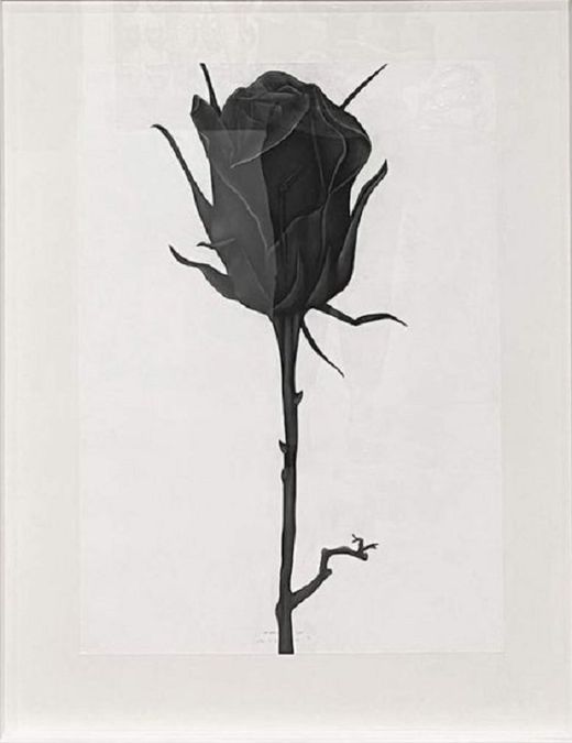 Lester Amacio