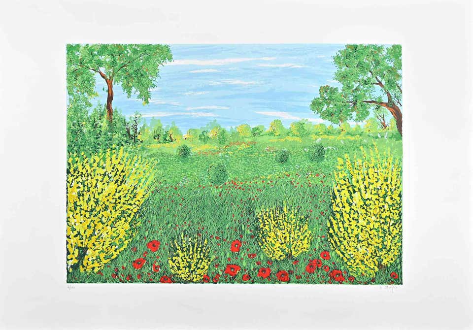Maddalena Striglio, Explosive Spring Maddalena Striglio, Explosive Spring