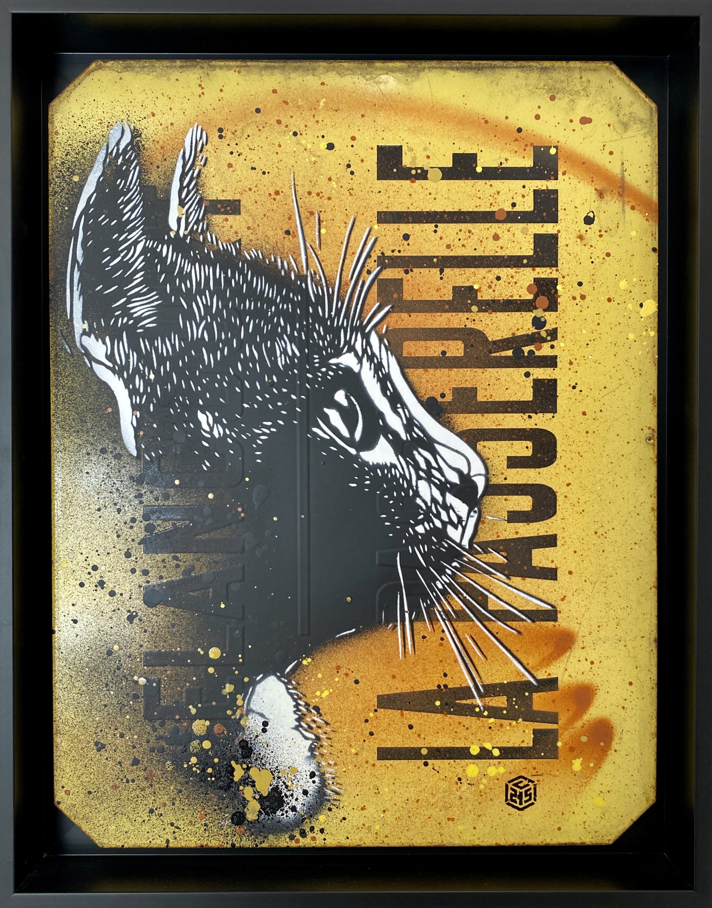 C215, Chat C215, Chat