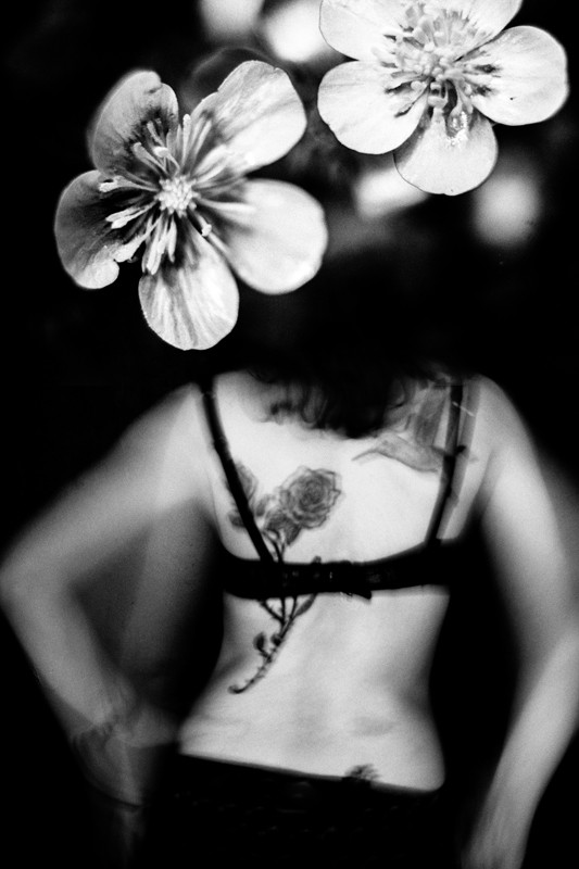 Cécile Baldewyns, Flower power Cécile Baldewyns, Flower power