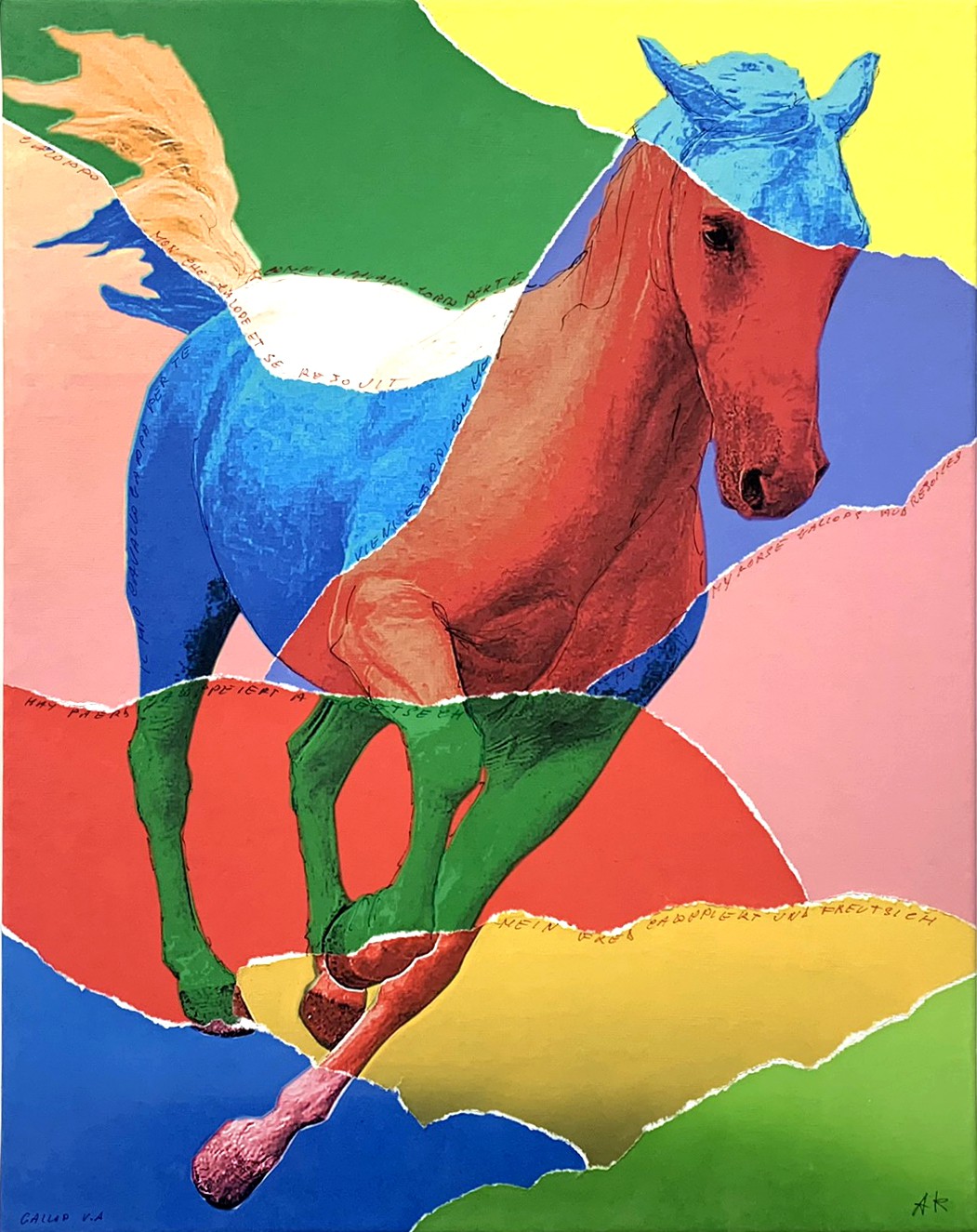 Asnidy Kiarholi, Gallopp VA Asnidy Kiarholi, Gallopp VA