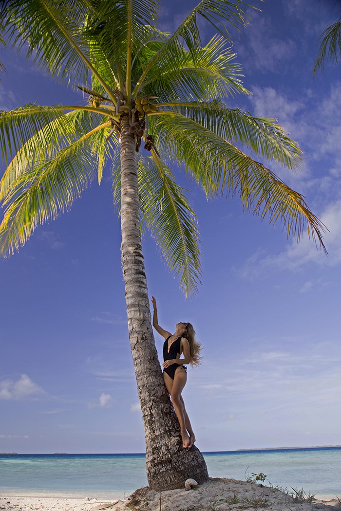 Anthony Horth, Oh for a Coconut ! Anthony Horth, Oh for a Coconut !