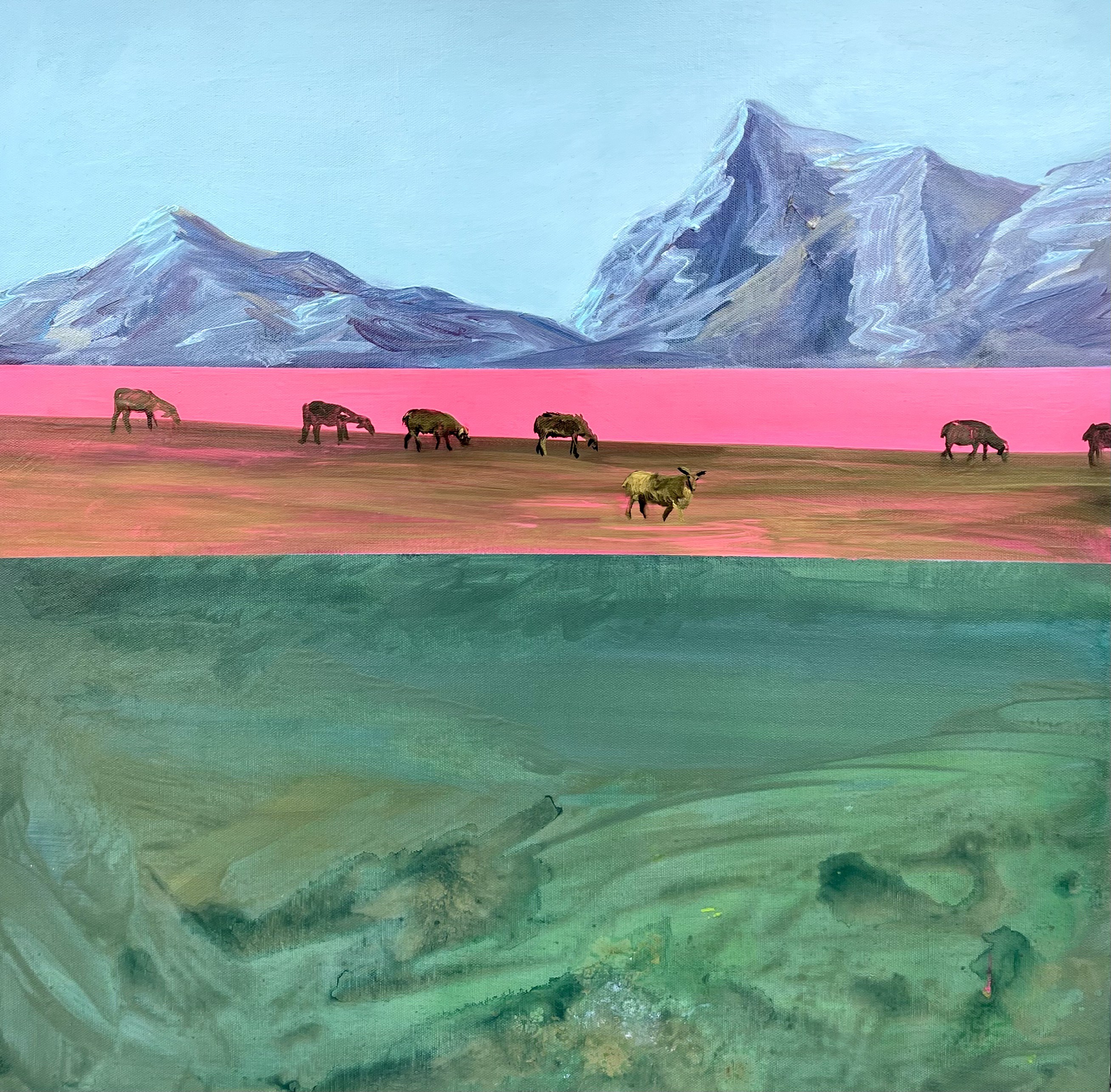 Nora Ampova, Grazing Nora Ampova, Grazing