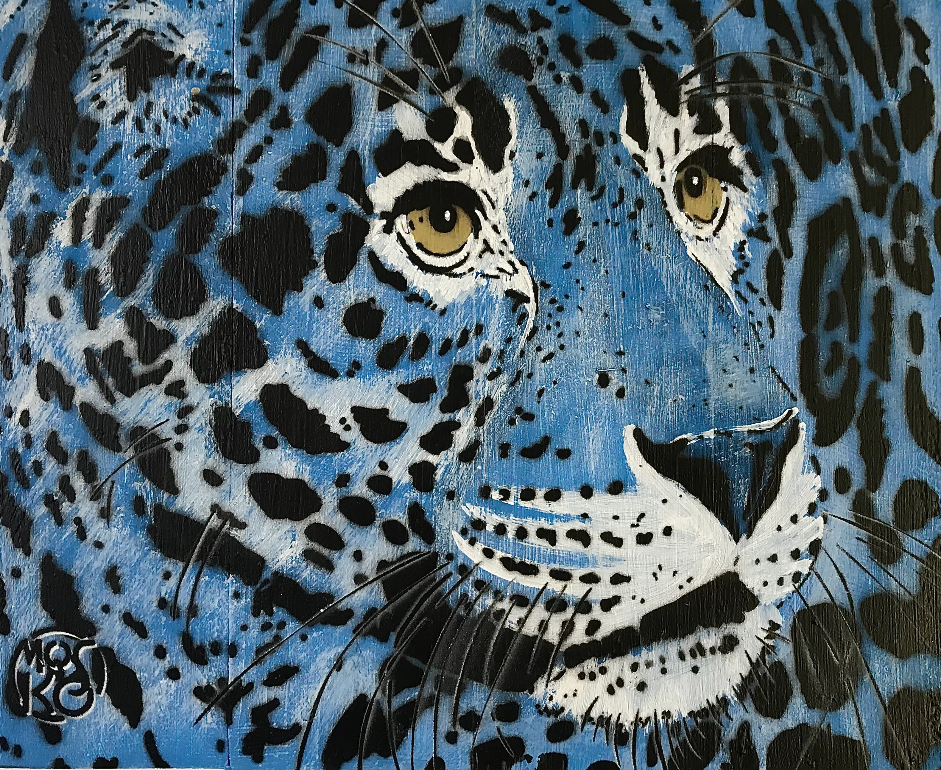 Mosko, Regard bleu Mosko, Regard bleu