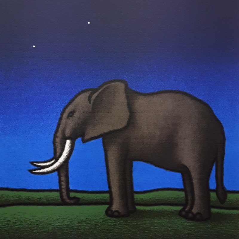 Tino Stefanoni, Elefante Tino Stefanoni, Elefante