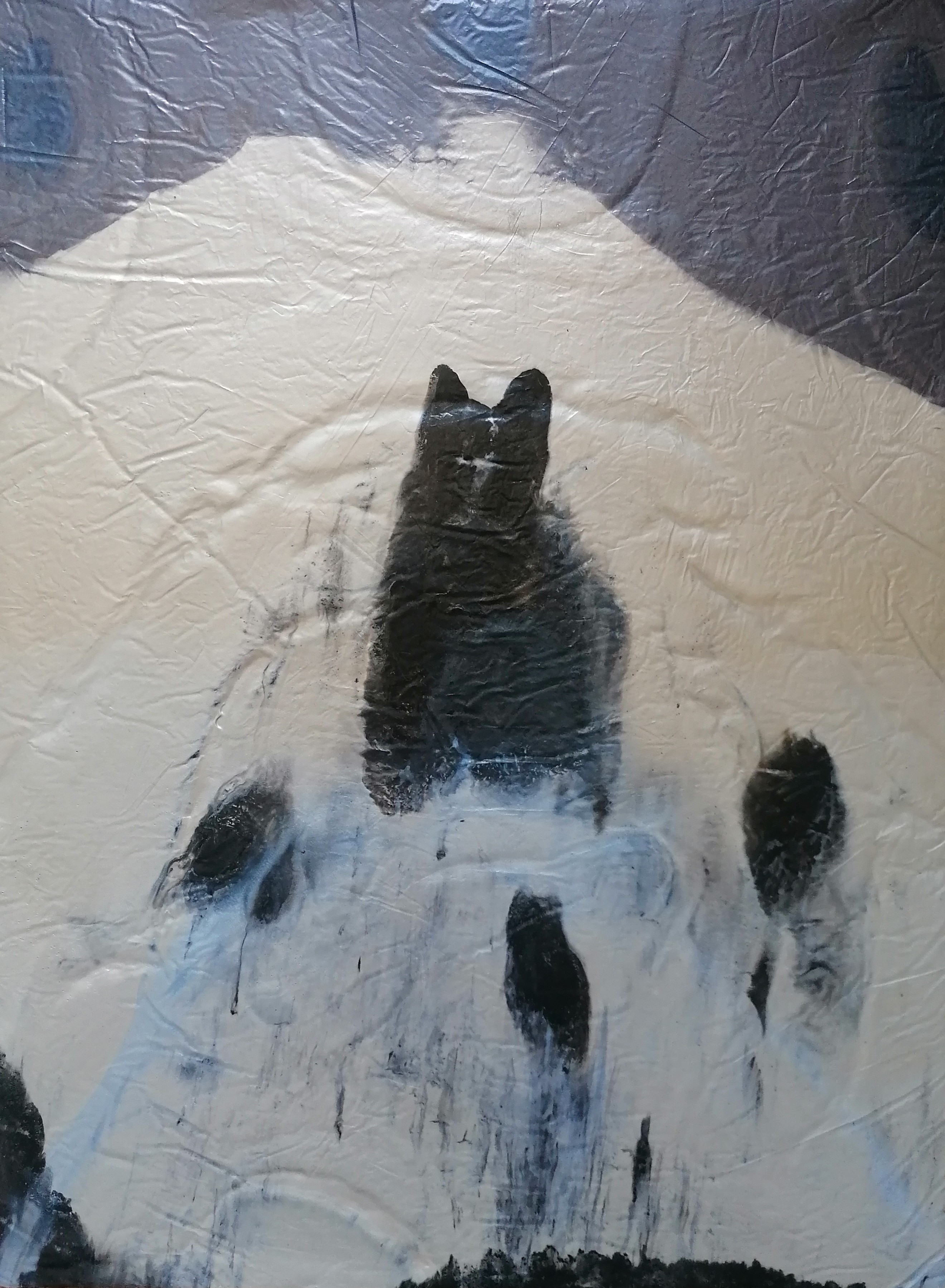 Stefano Mazzolini, CAT Stefano Mazzolini, CAT