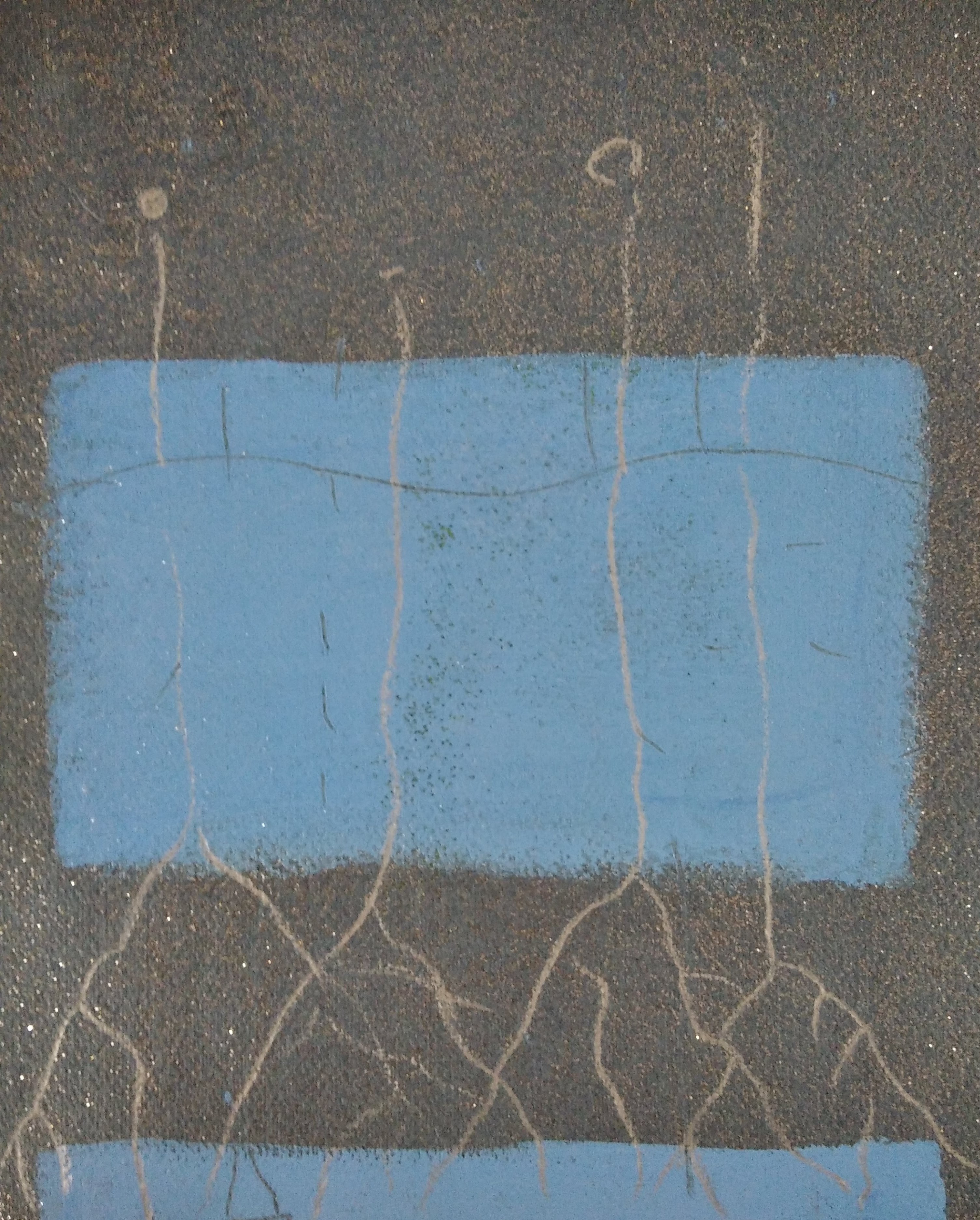 María José Vela, Untitled María José Vela, Untitled