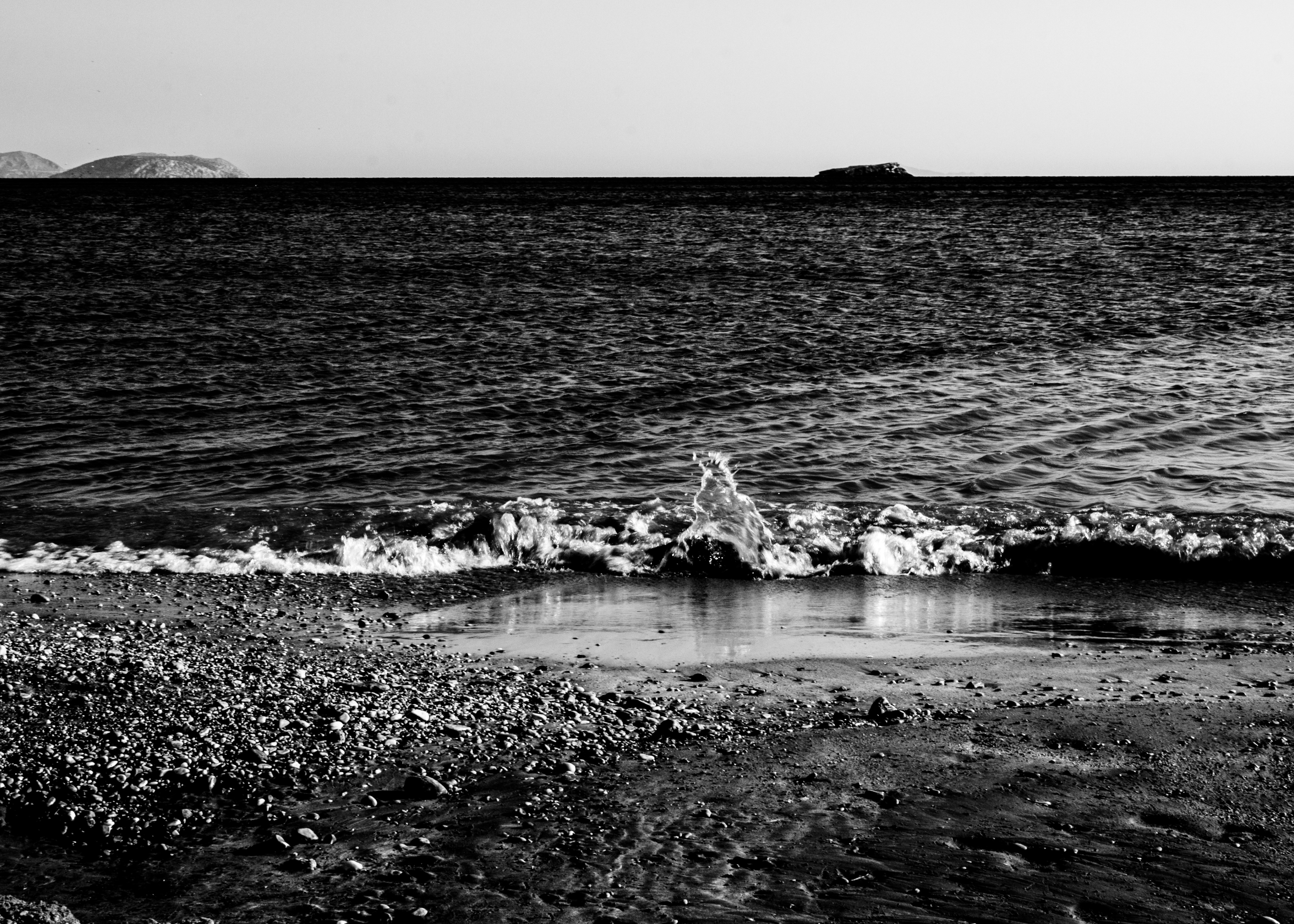 Ellie Sass (Sassayiannis), Sea(birds) XII Ellie Sass (Sassayiannis), Sea(birds) XII