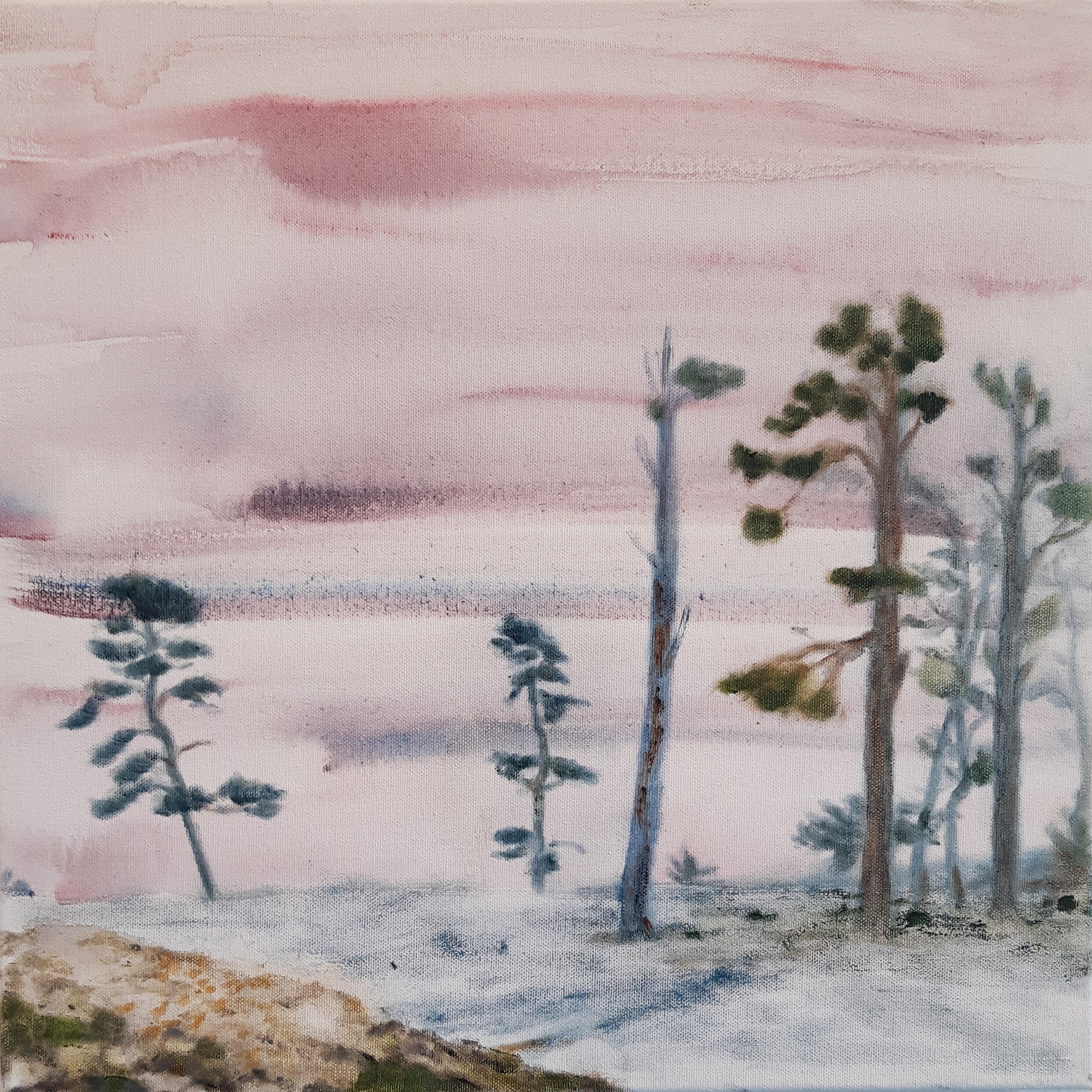 Lotta Hellström, Spring Winter Lotta Hellström, Spring Winter