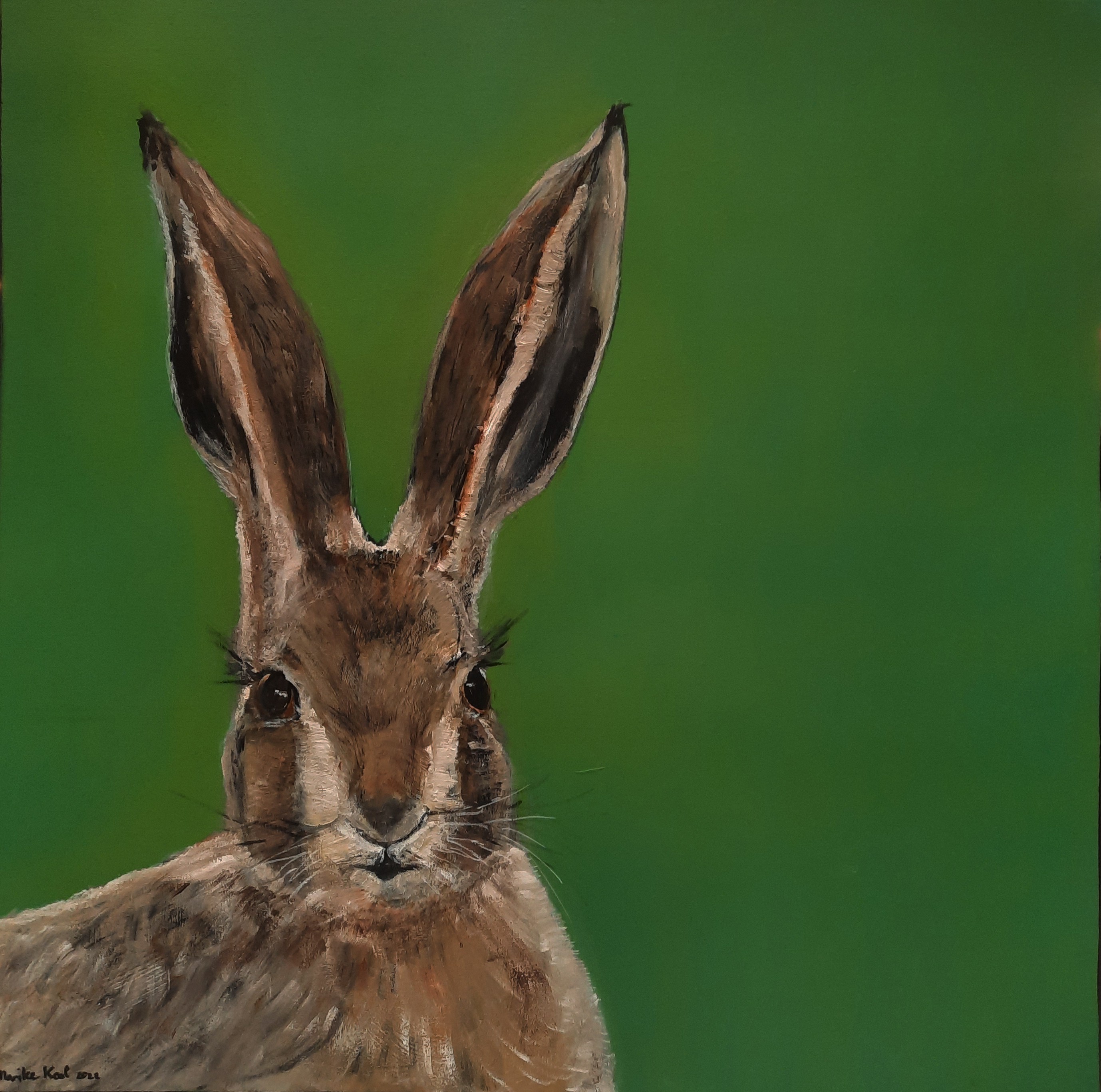 Marike Koot, Hare Marike Koot, Hare