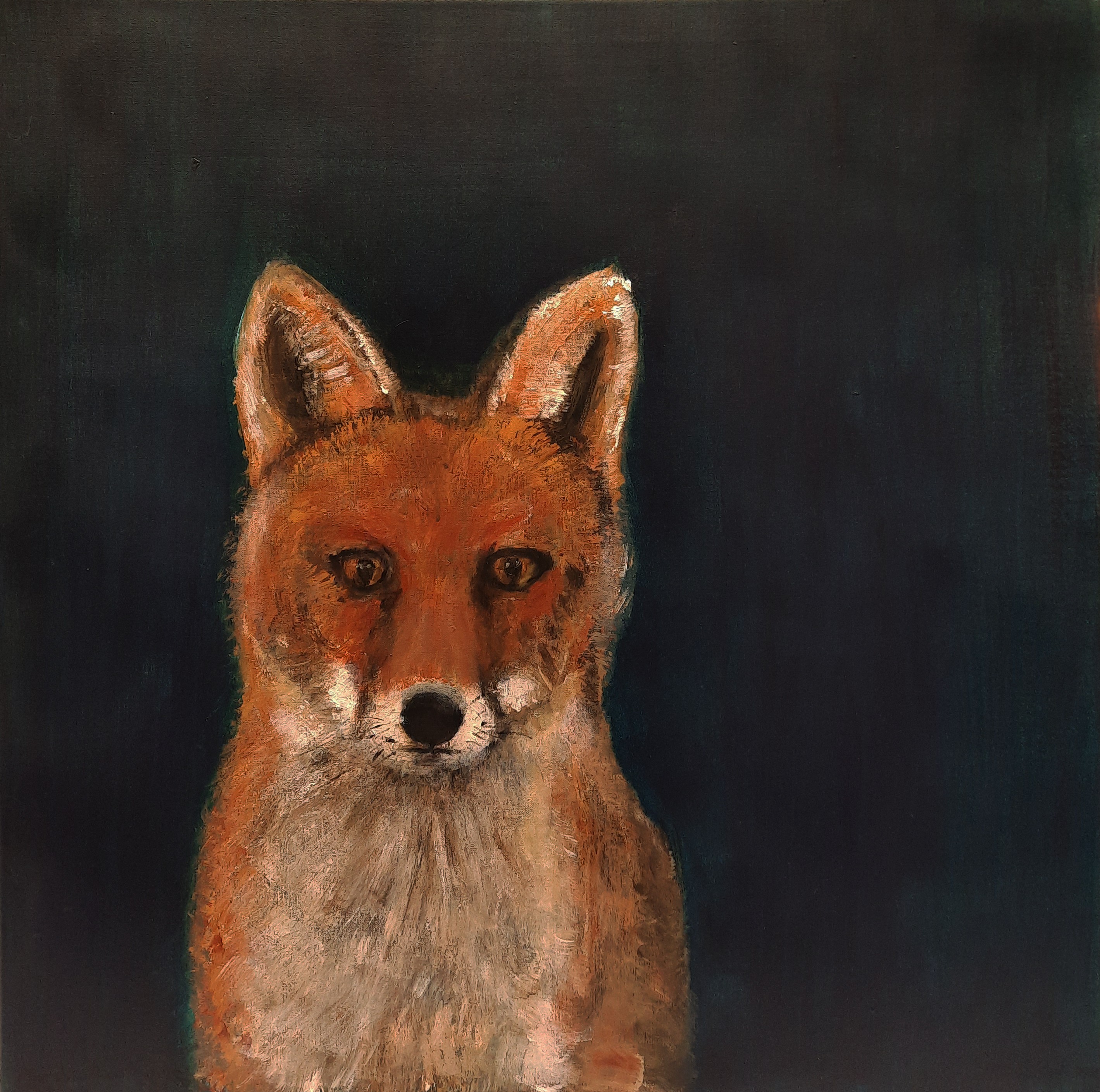 Marike Koot, Fox Marike Koot, Fox