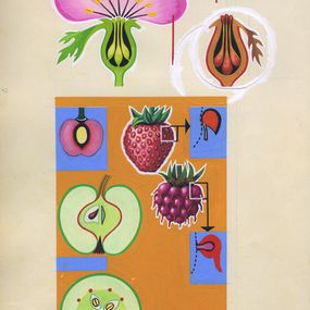 Botanical illustration 2, Tekla Aleksieva