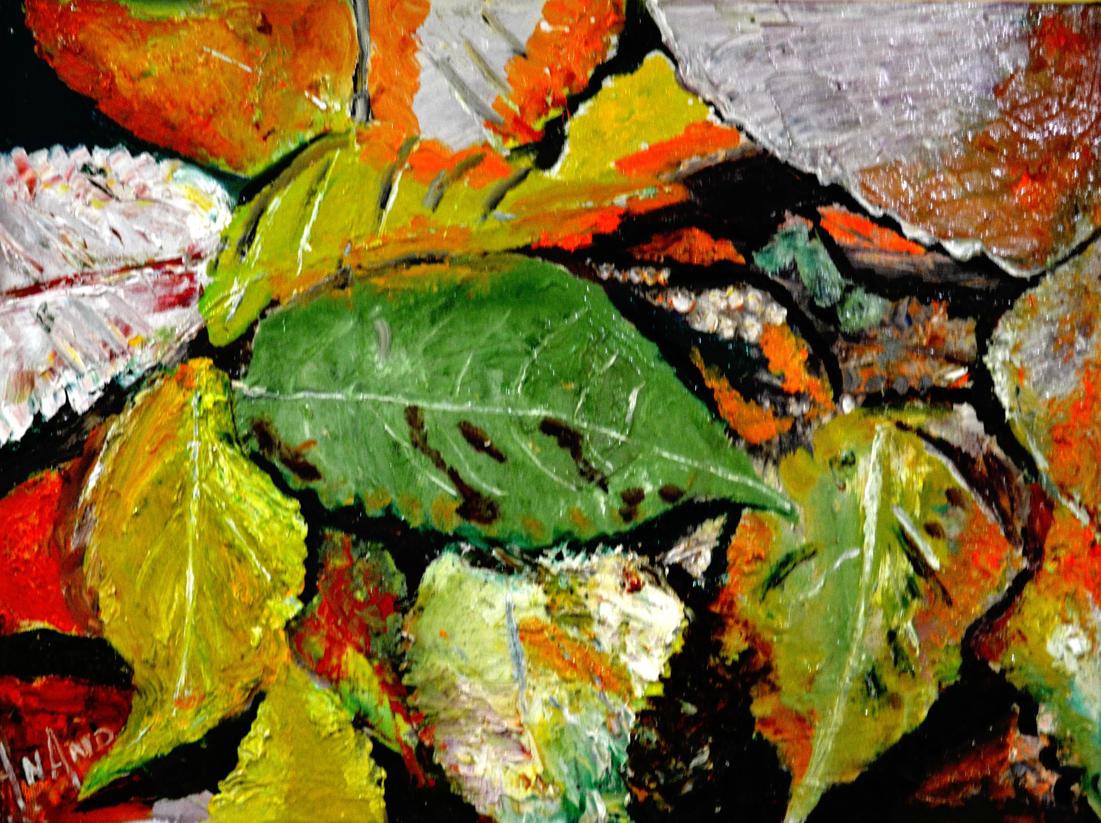 Anand Manchiraju, Leaves, leaves and leaves-2 Anand Manchiraju, Leaves, leaves and leaves-2