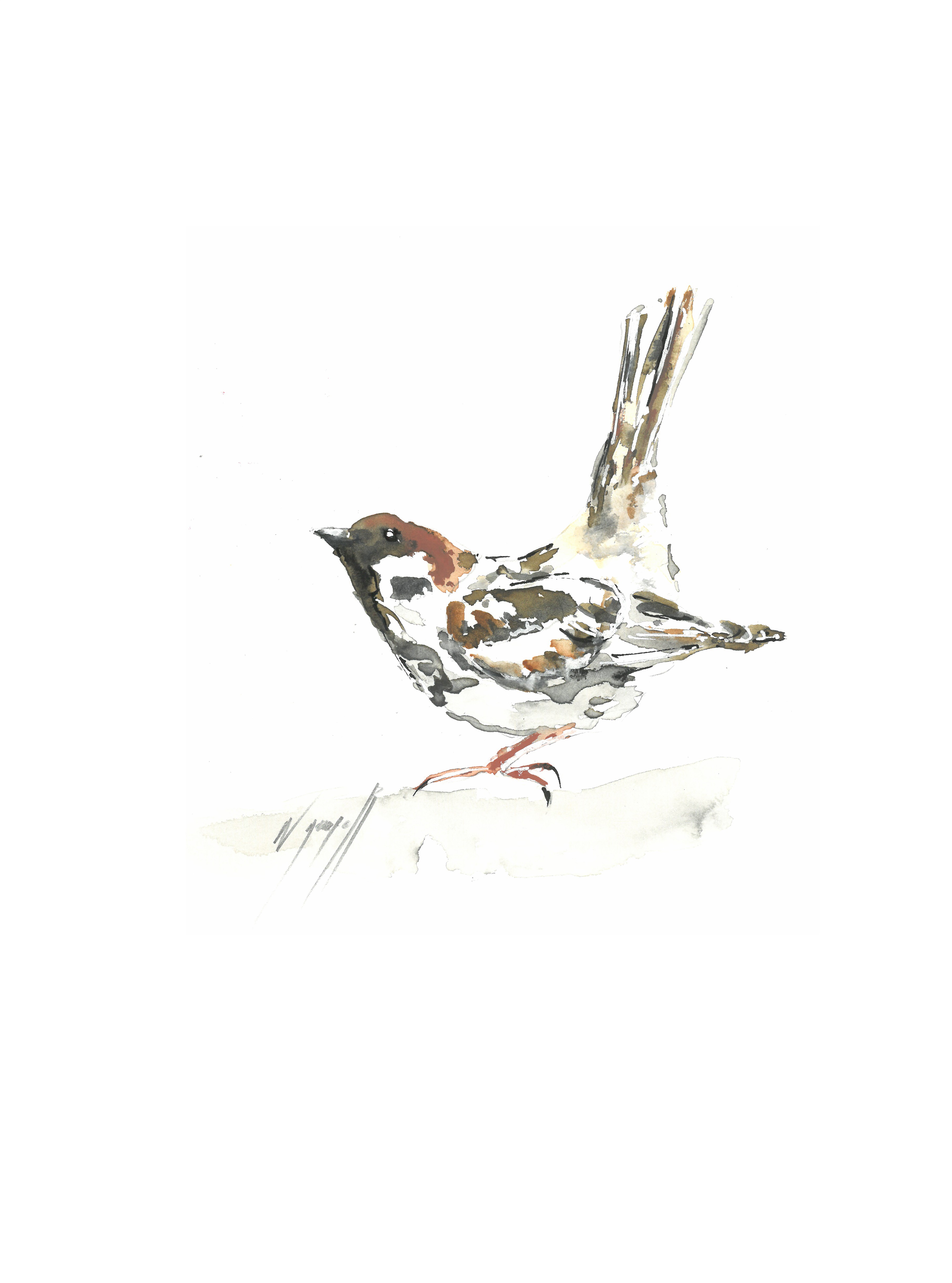 Noël Granger, L'oiseau du jardin Noël Granger, L'oiseau du jardin