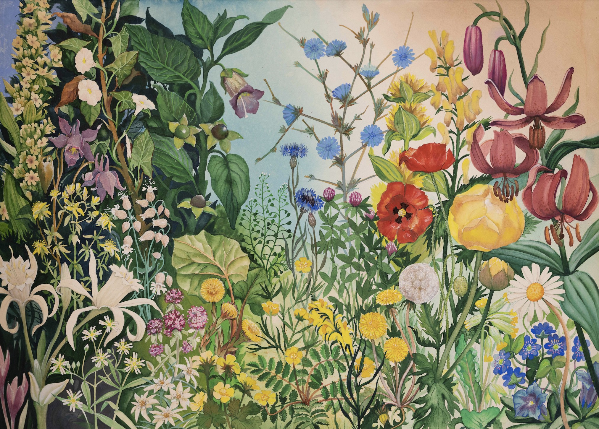 Tekla Aleksieva, Composition Wild Plants Tekla Aleksieva, Composition Wild Plants