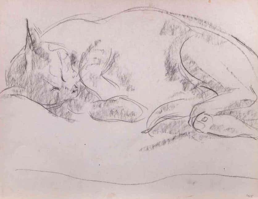 Giselle Halff, Sleeping Cat Giselle Halff, Sleeping Cat