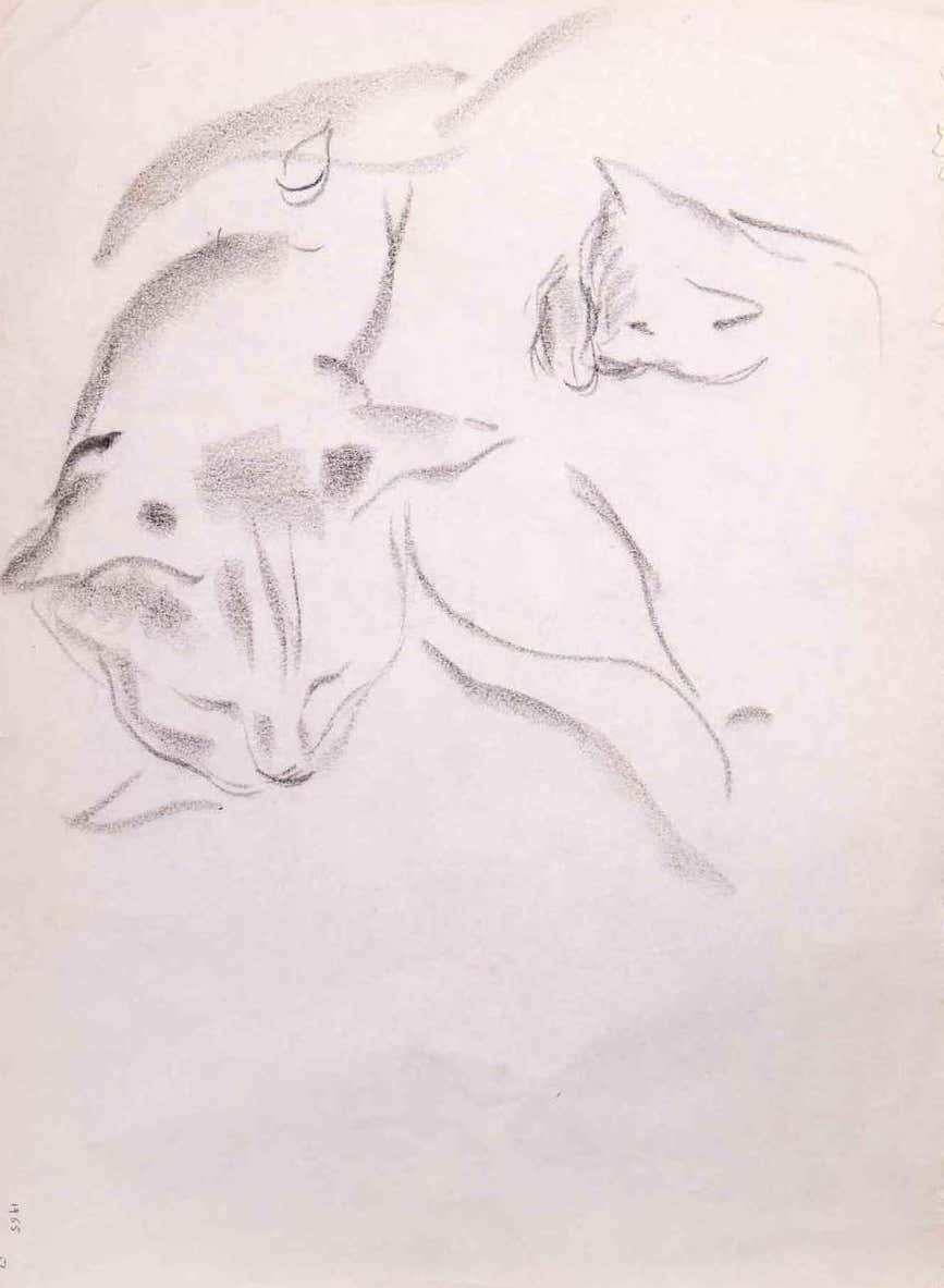 Giselle Halff, Sleeping Cat Giselle Halff, Sleeping Cat