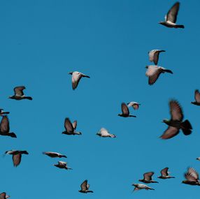 A Brand New Day, Sumit Mehndiratta