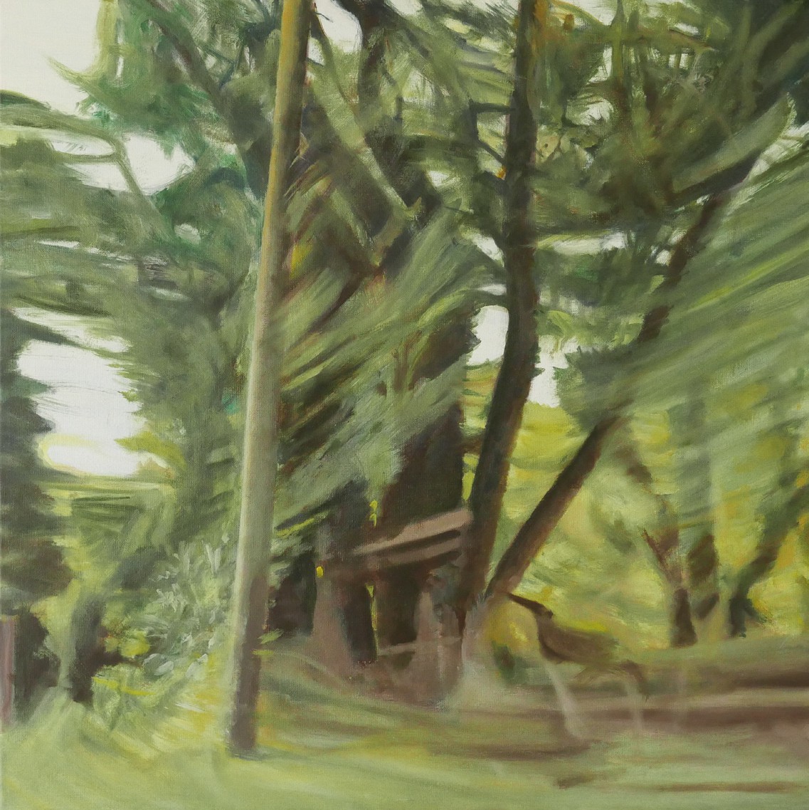 Olivier Furter, Speed of Nature Olivier Furter, Speed of Nature